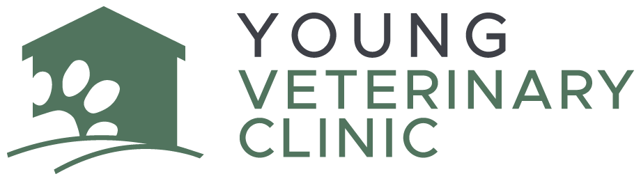Young Veterinary Clinic