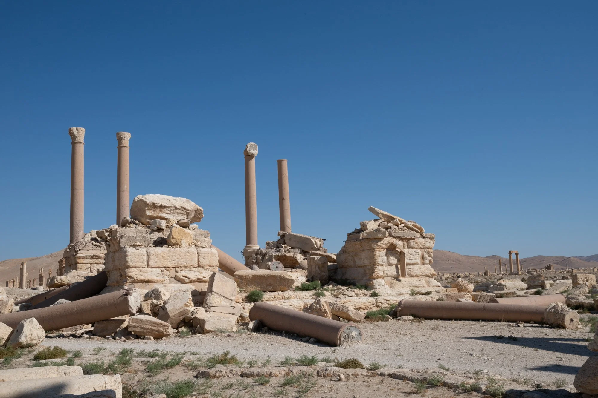 Palmyre_Syrie_Juin2026 - Site (26 sur 30).jpg