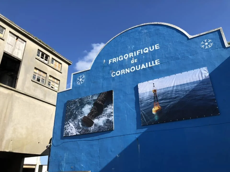 Festival du Guilvinec 2024