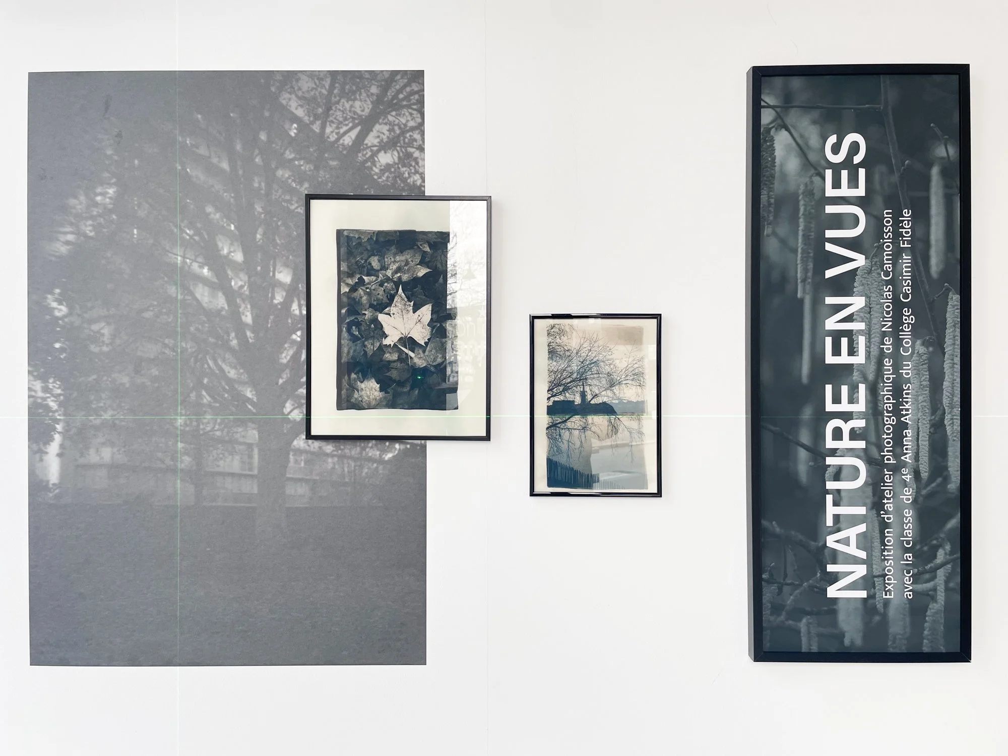 NatureEnVues (7 sur 45).jpg
