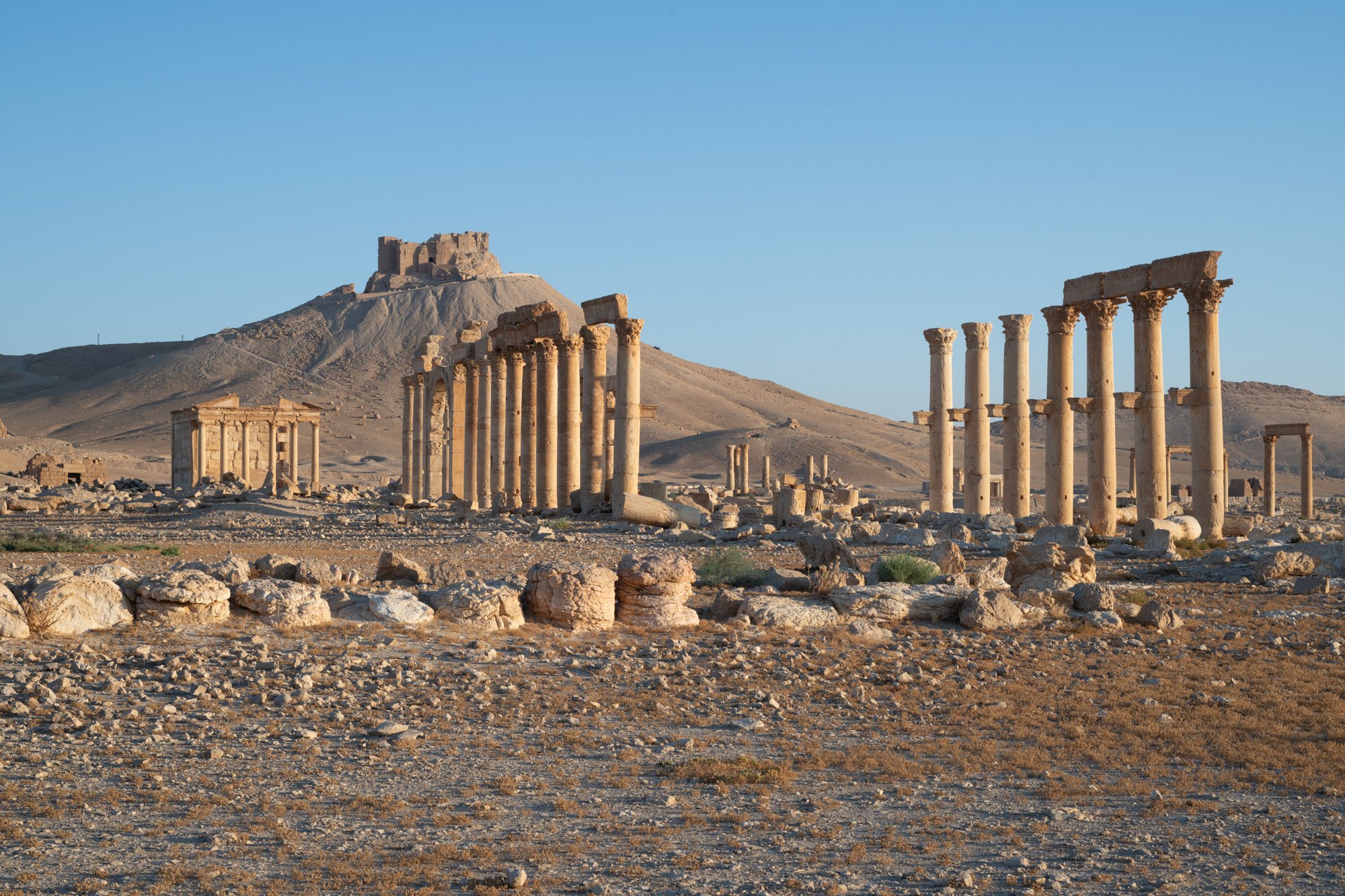 Palmyre_Syrie_Juin2026 - Site (9 sur 30).jpg