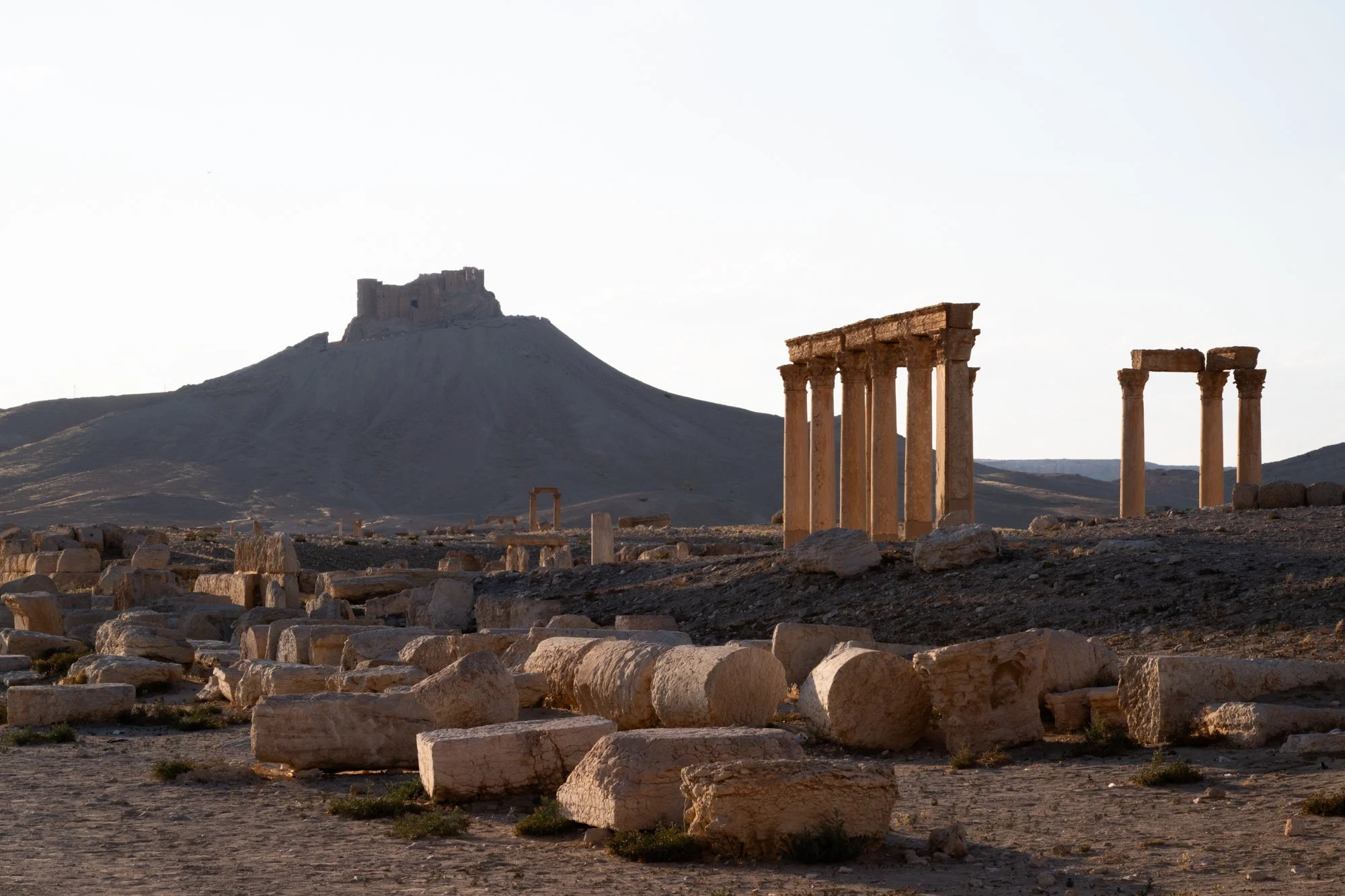 Palmyre_Syrie_Juin2026 - Site (5 sur 30).jpg