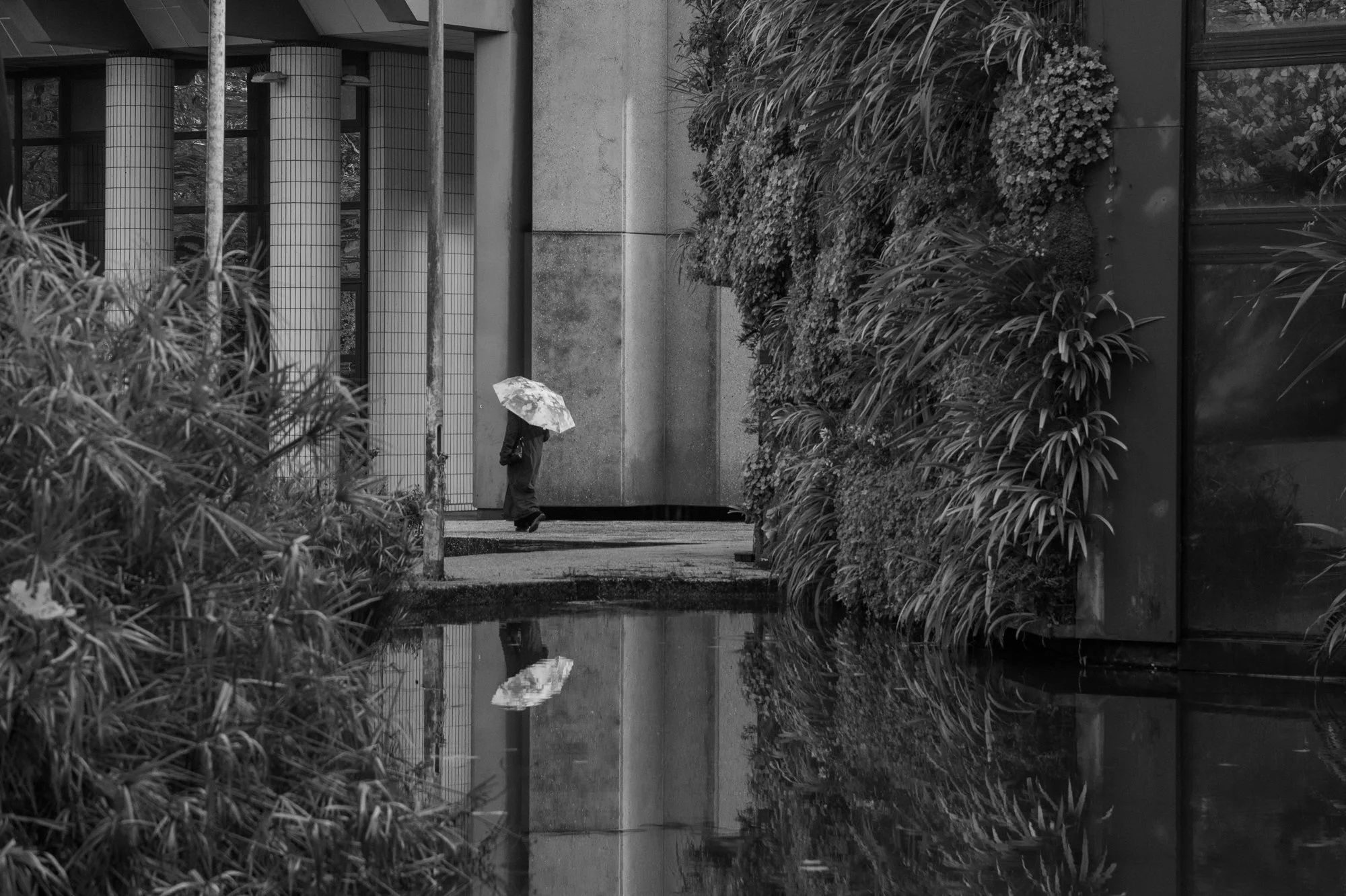 Nature en vues