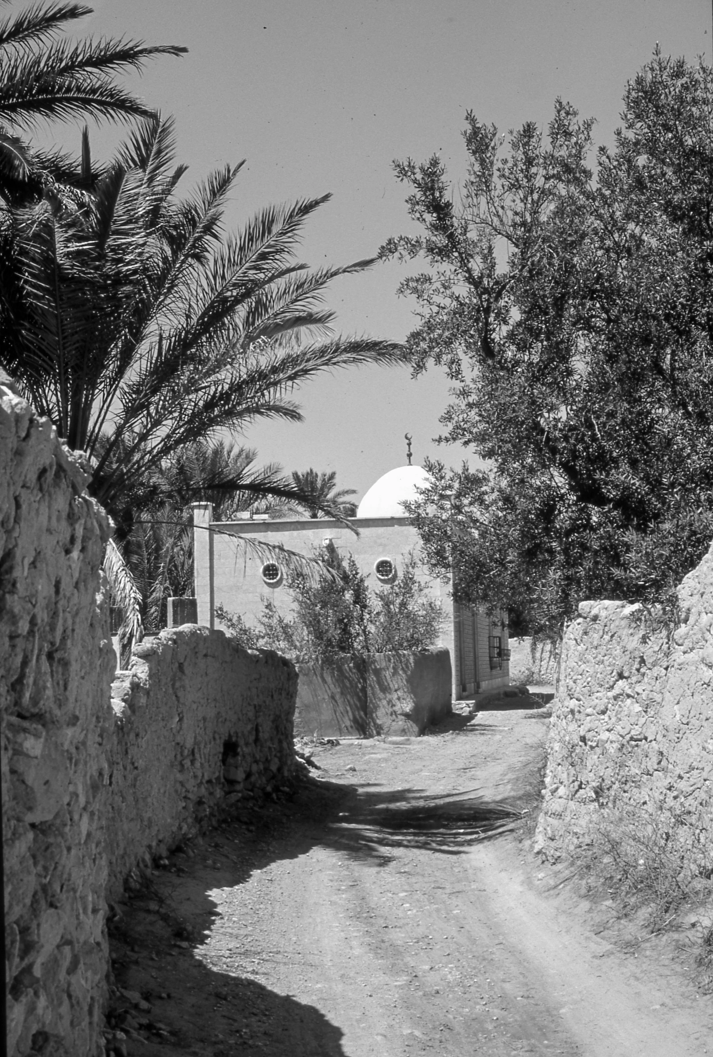 Ancien Palmyre (3 sur 9).jpg