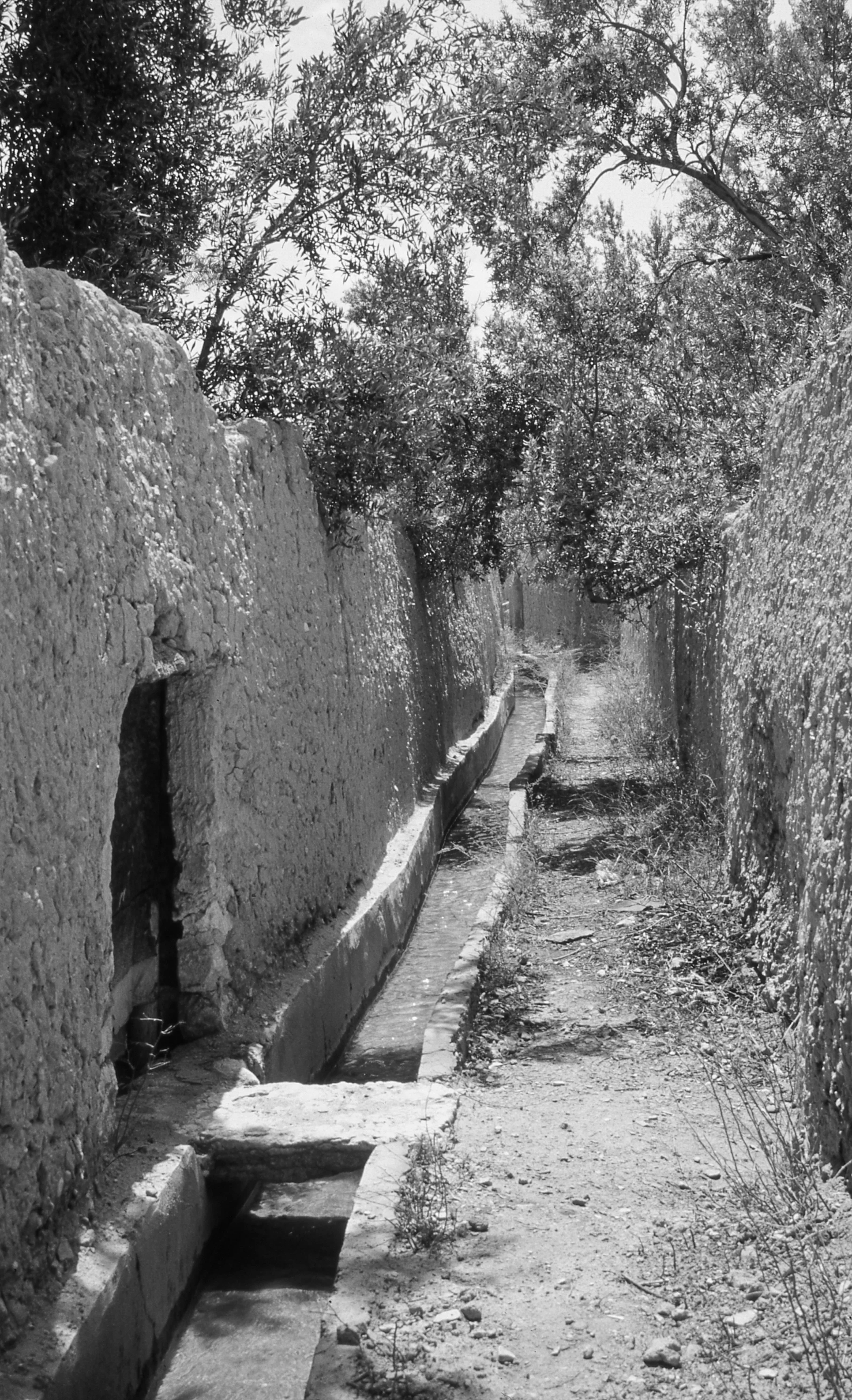 Ancien Palmyre (7 sur 9).jpg
