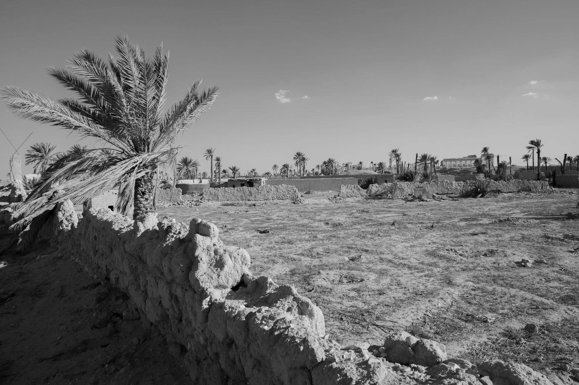 Palmyre_Syrie_Oasis_004.jpg