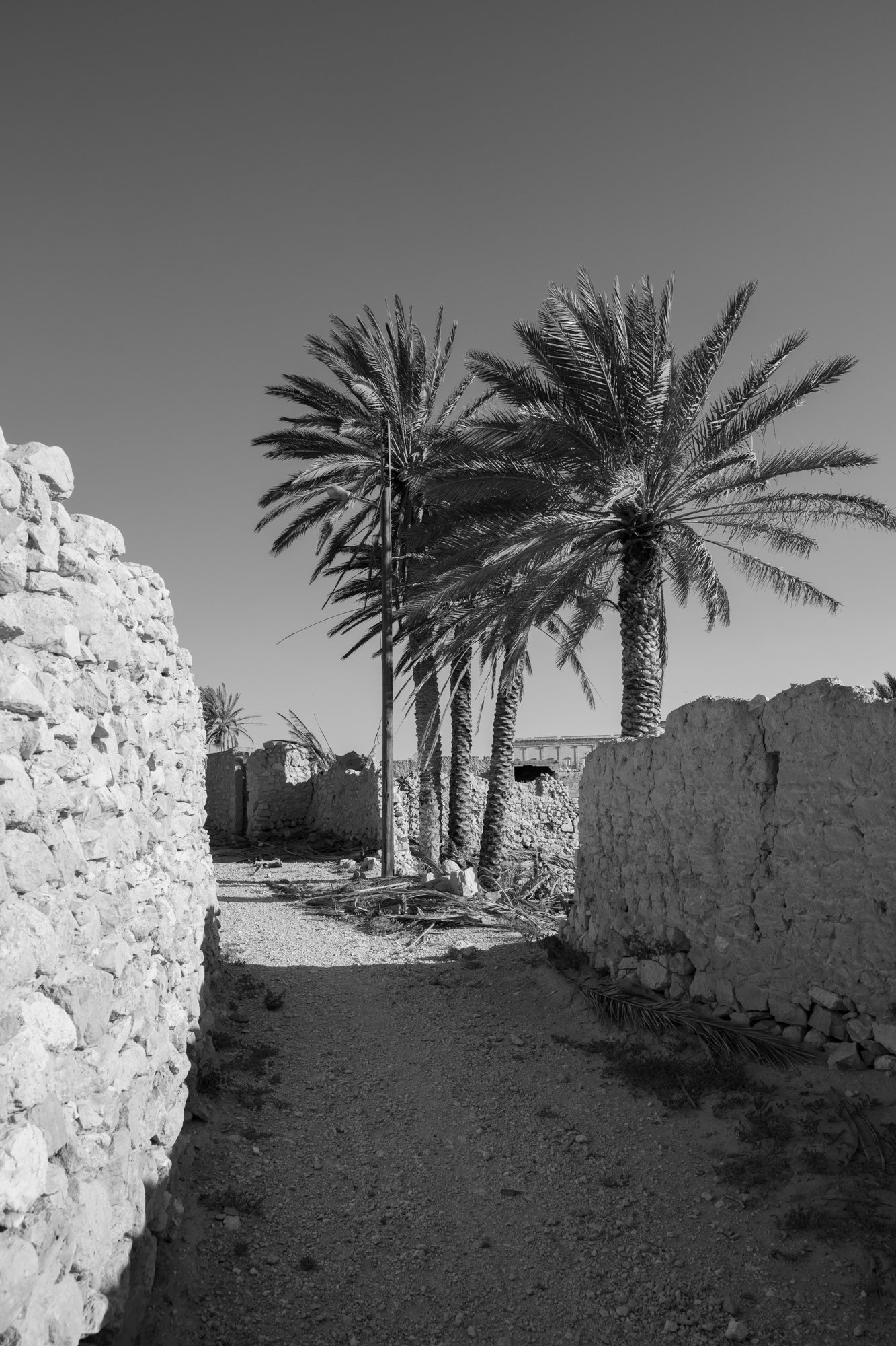Palmyre_Syrie_Oasis_015.jpg