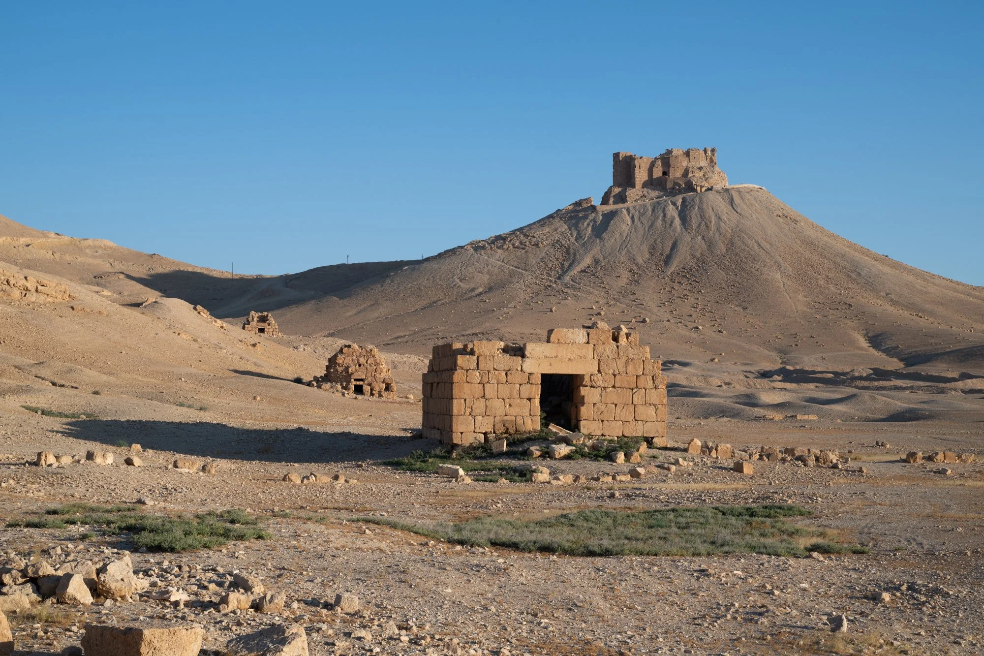 Palmyre_Syrie_Juin2026 - Site (12 sur 30).jpg