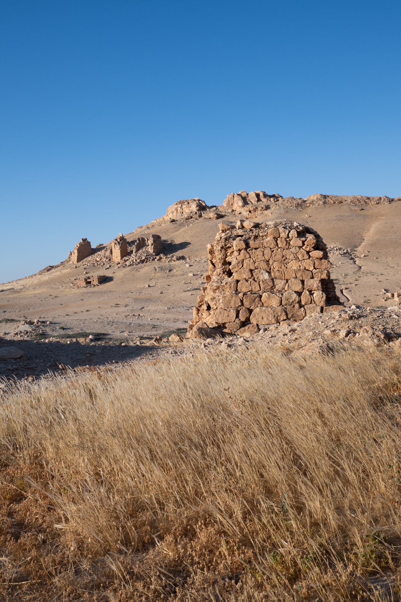 Palmyre_Syrie_Juin2026 - Site (14 sur 30).jpg