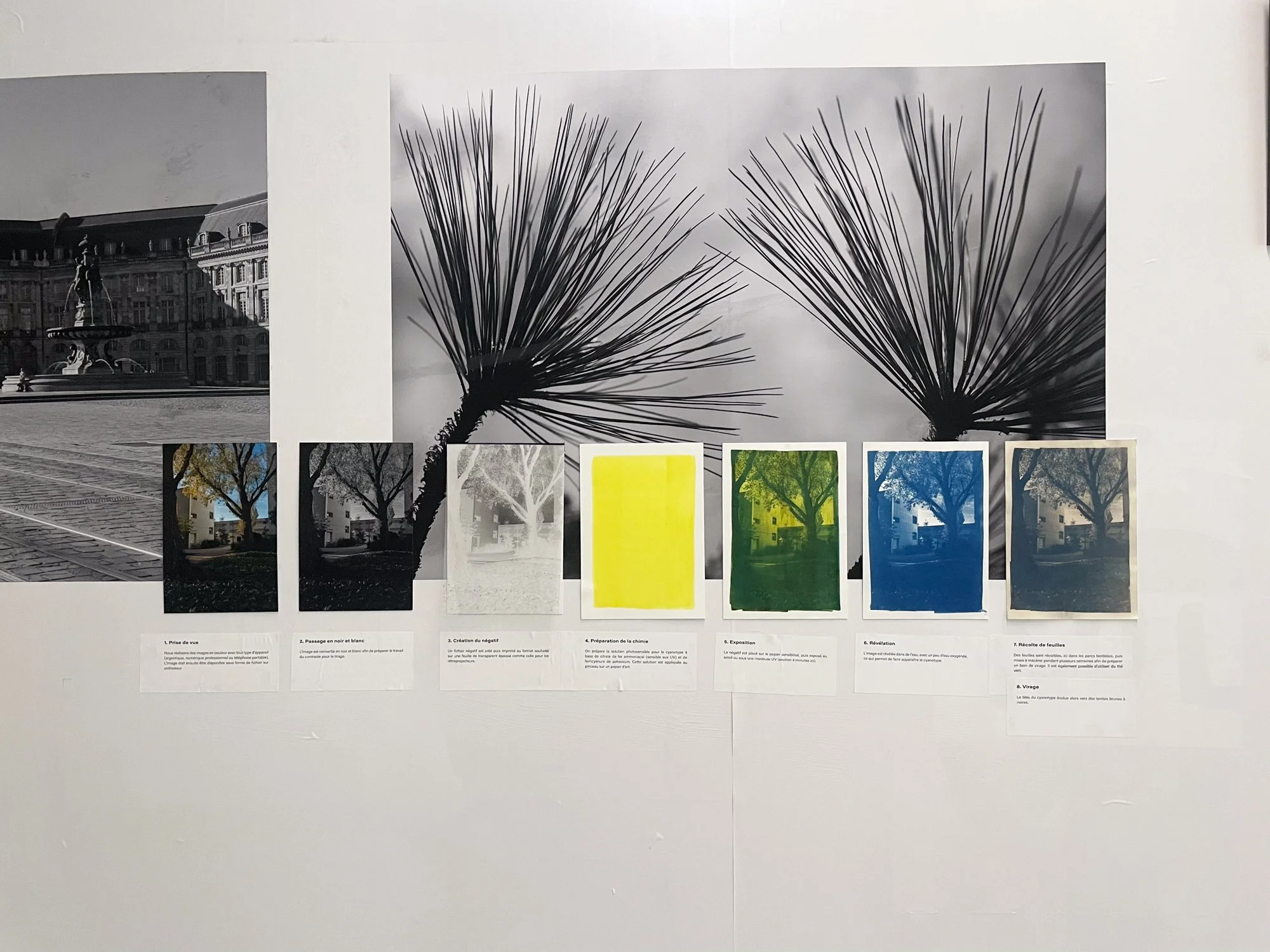 NatureEnVues (34 sur 45).jpg