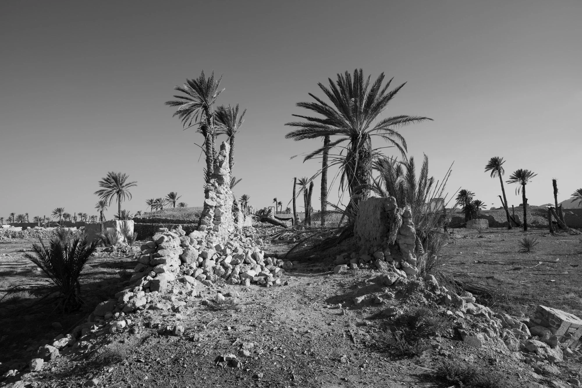 Palmyre_Syrie_Oasis_013.jpg