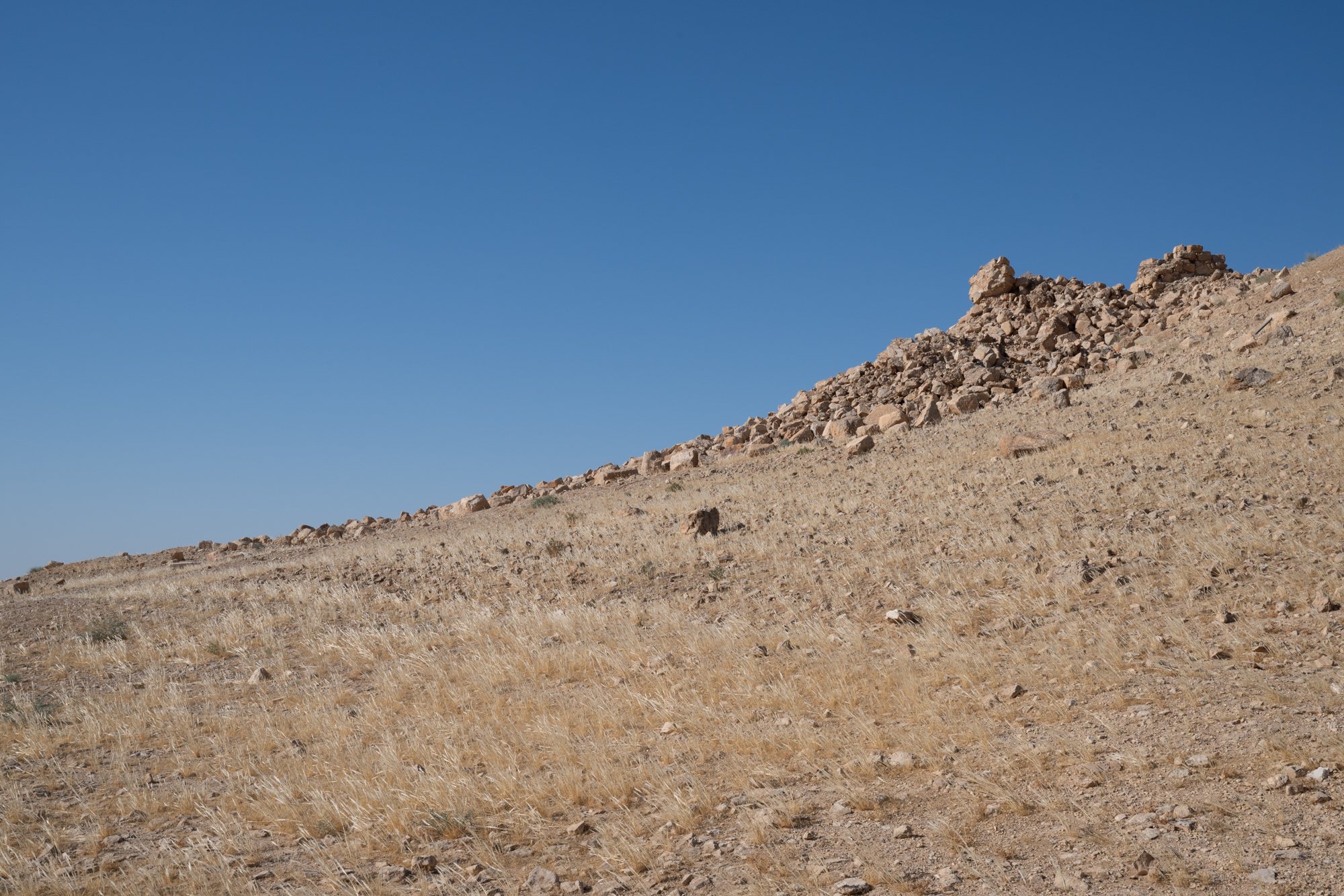 Palmyre_Syrie_Juin2026 - Site (25 sur 30).jpg