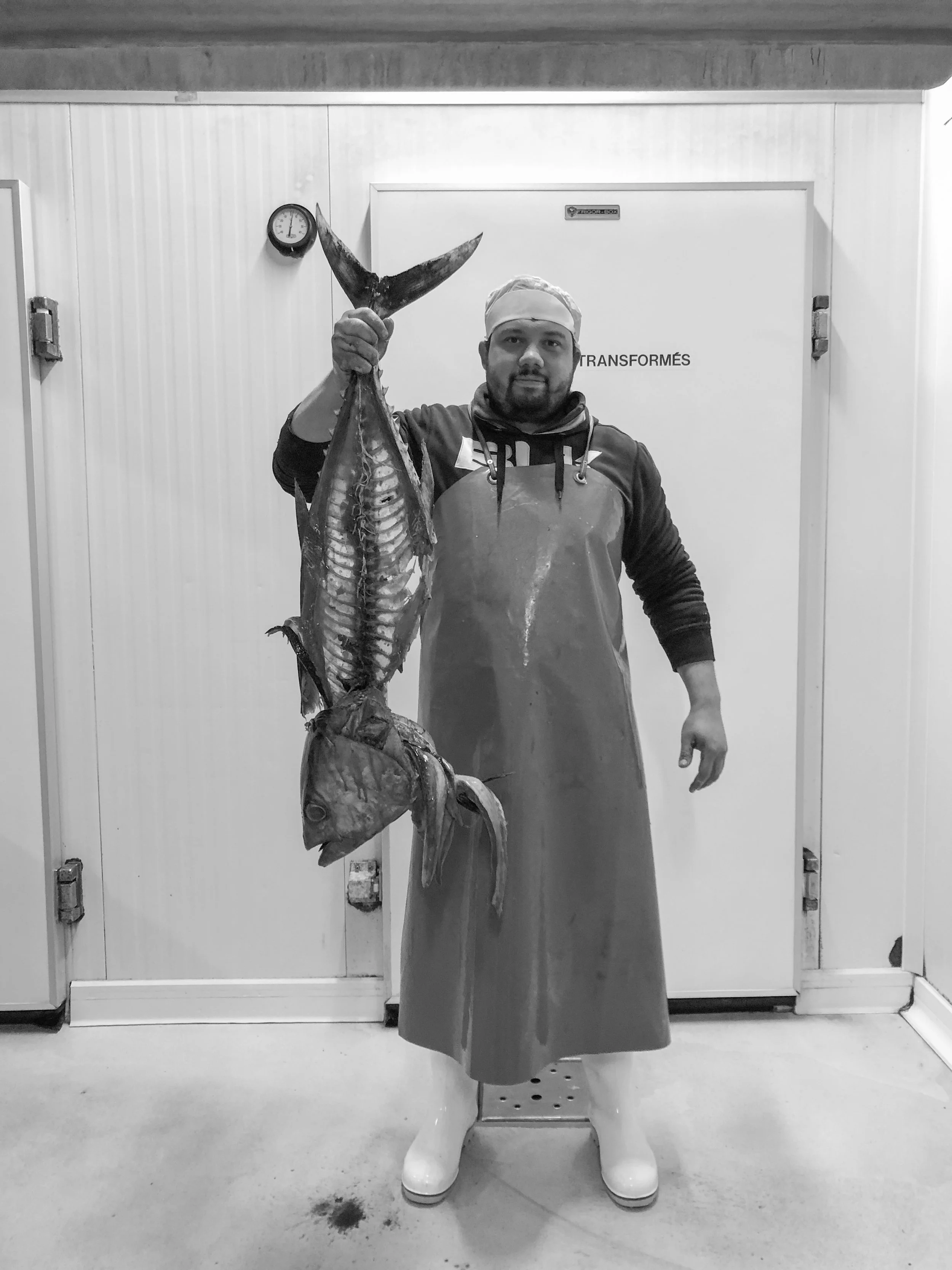 Cyanotype-Poissonnerie-Lycee (14 sur 18).jpg