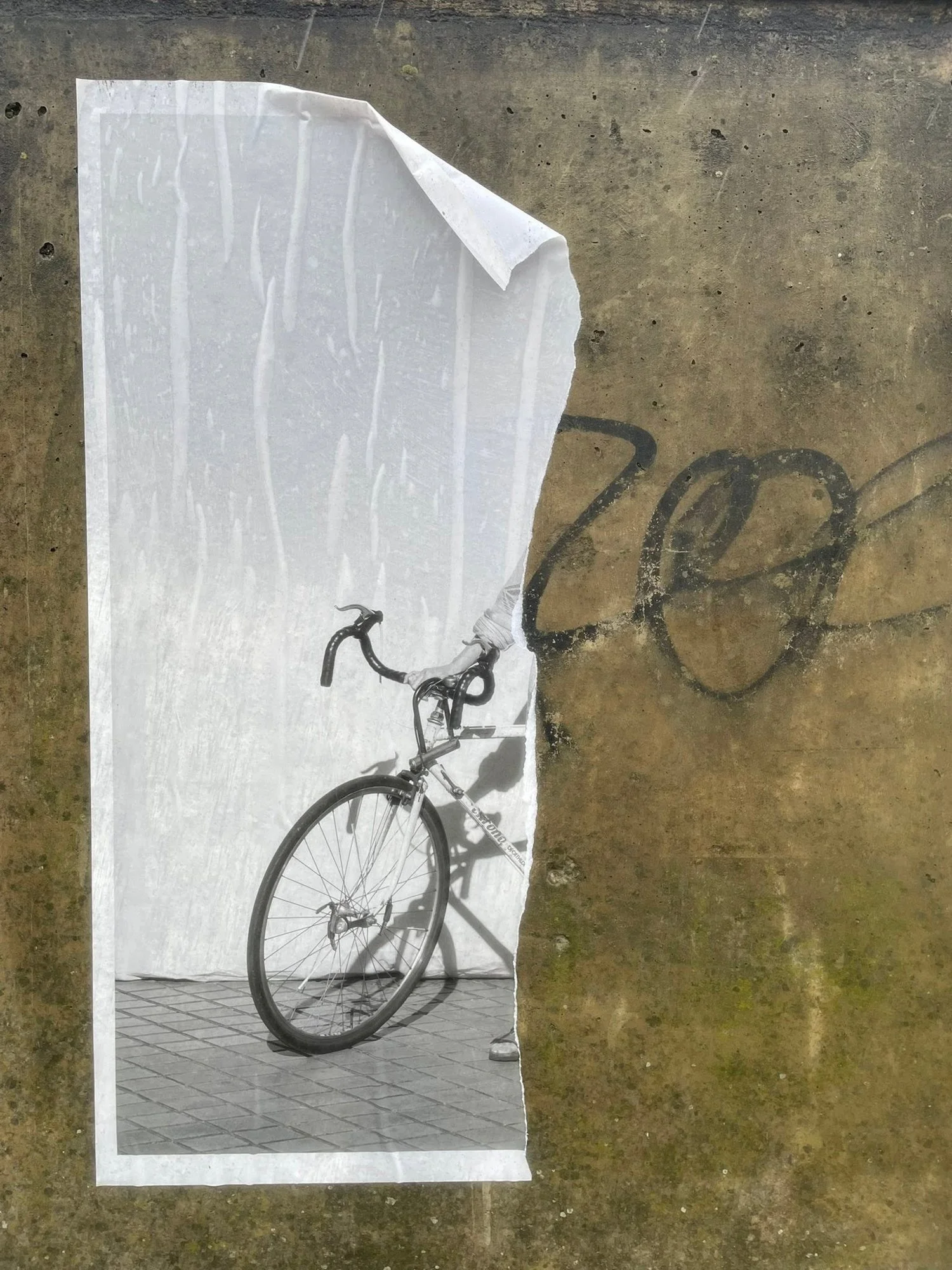 Les femmes et leur bicyclette (20 sur 21).jpg