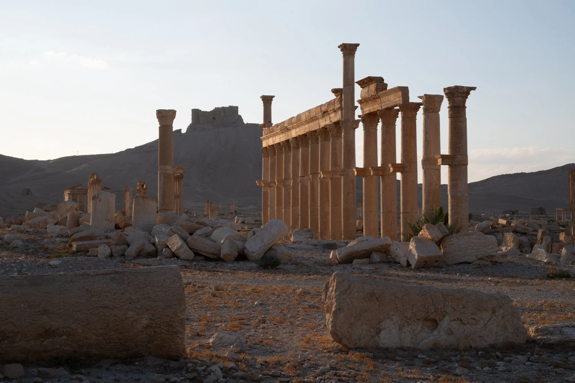 Palmyre_Syrie_Juin2026 - Site (6 sur 30).jpg