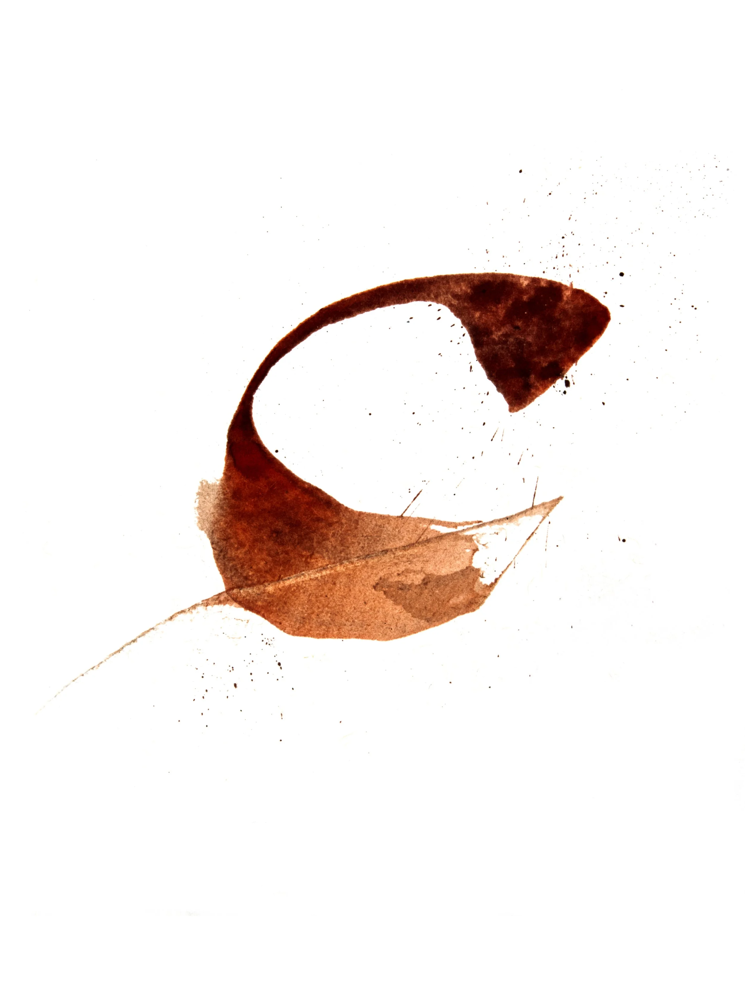 Calligraphie (1 sur 18).jpg