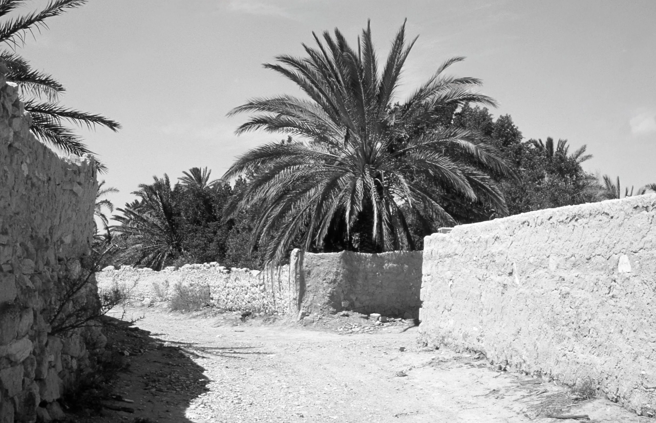 Ancien Palmyre (9 sur 9).jpg