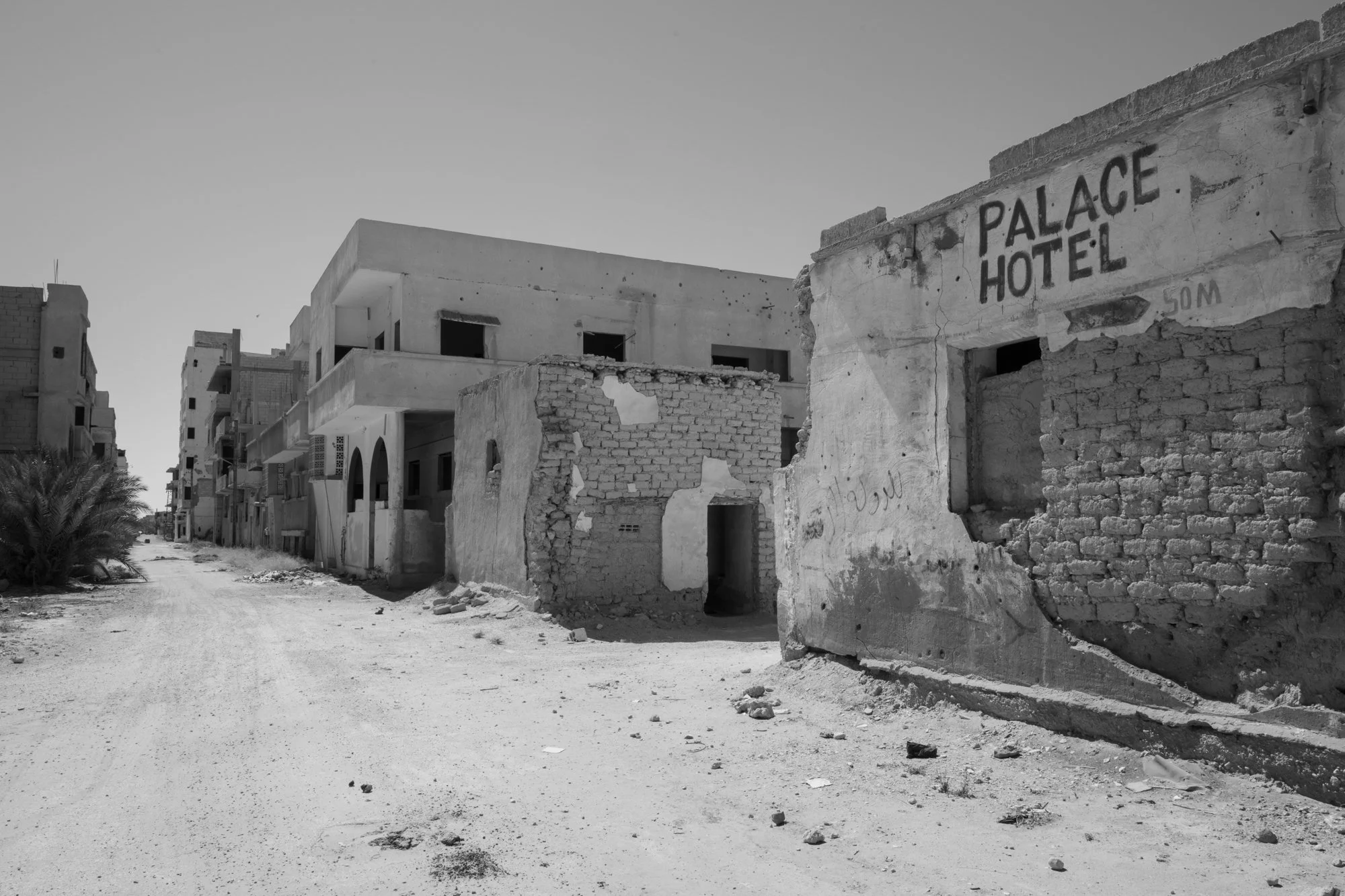 Palmyre_Syrie_New_001.jpg