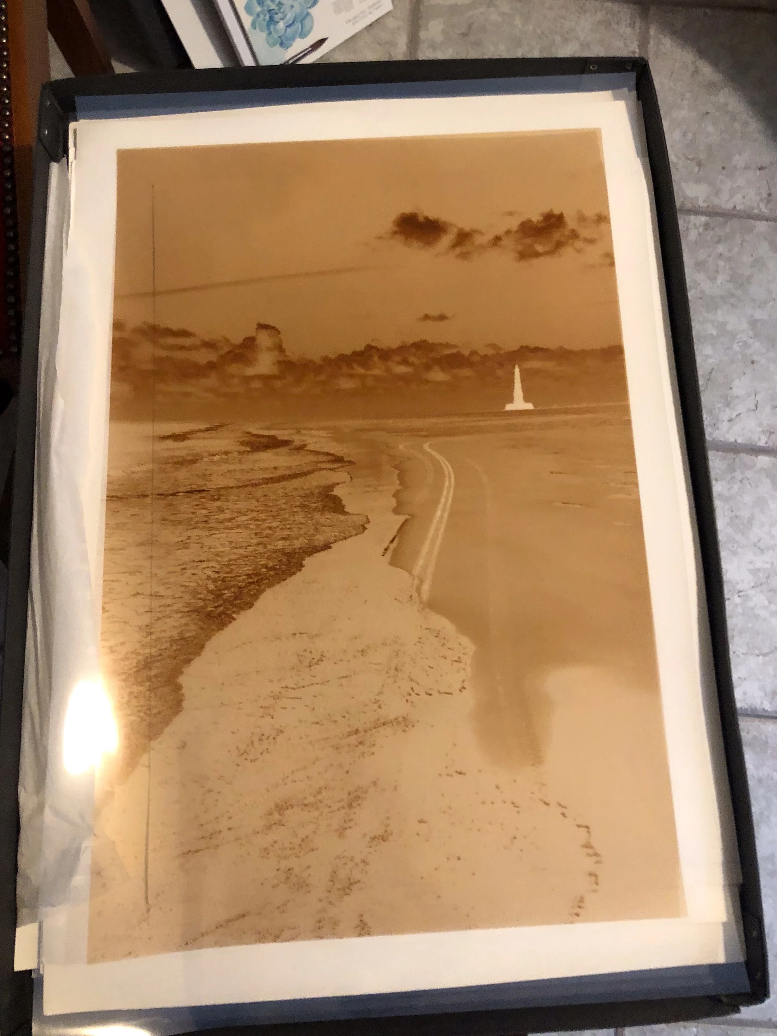 Cyanotype-Poissonnerie-Lycee (1 sur 18).jpg