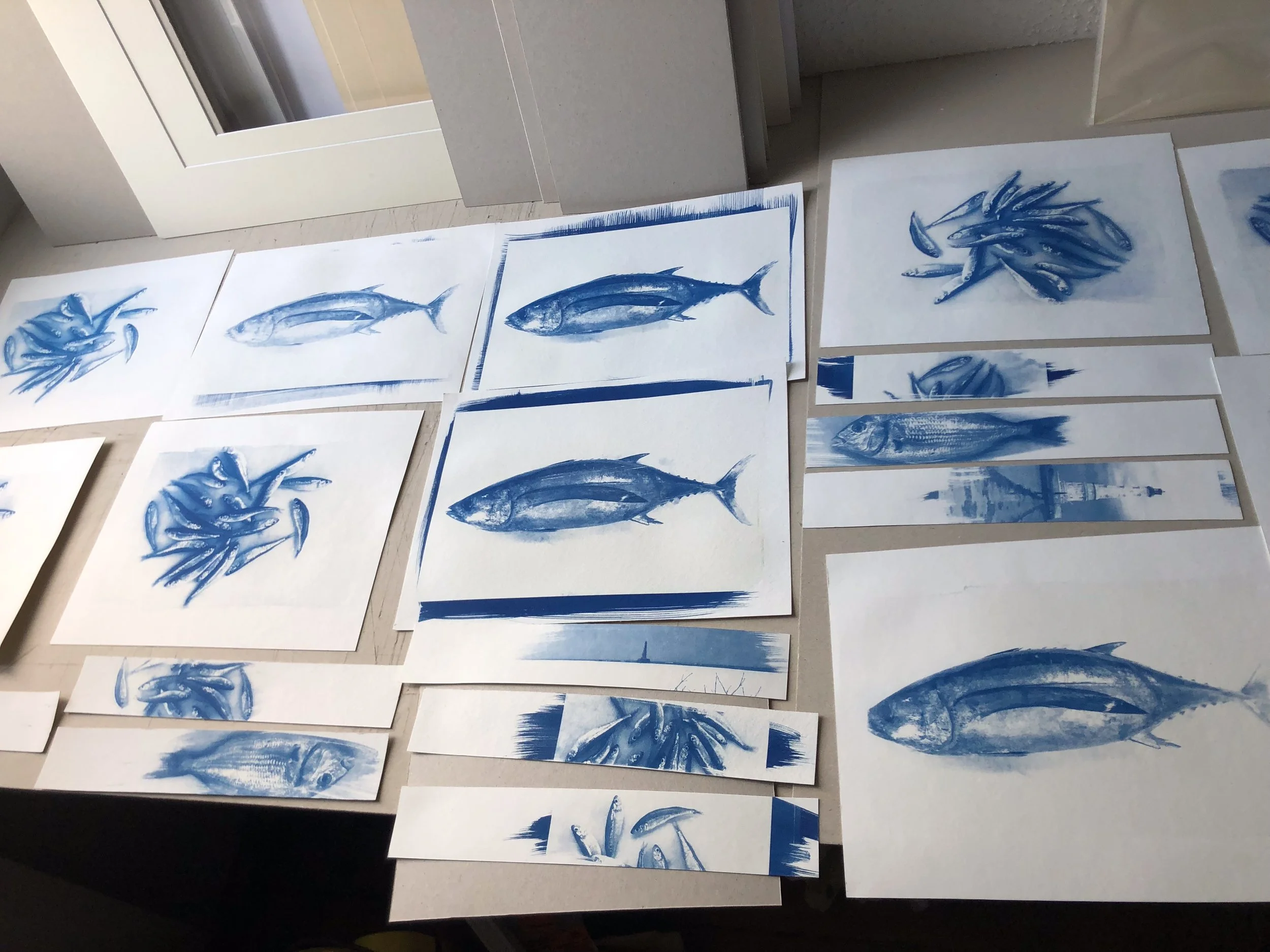 Cyanotype-Poissonnerie-Lycee (18 sur 18).jpg