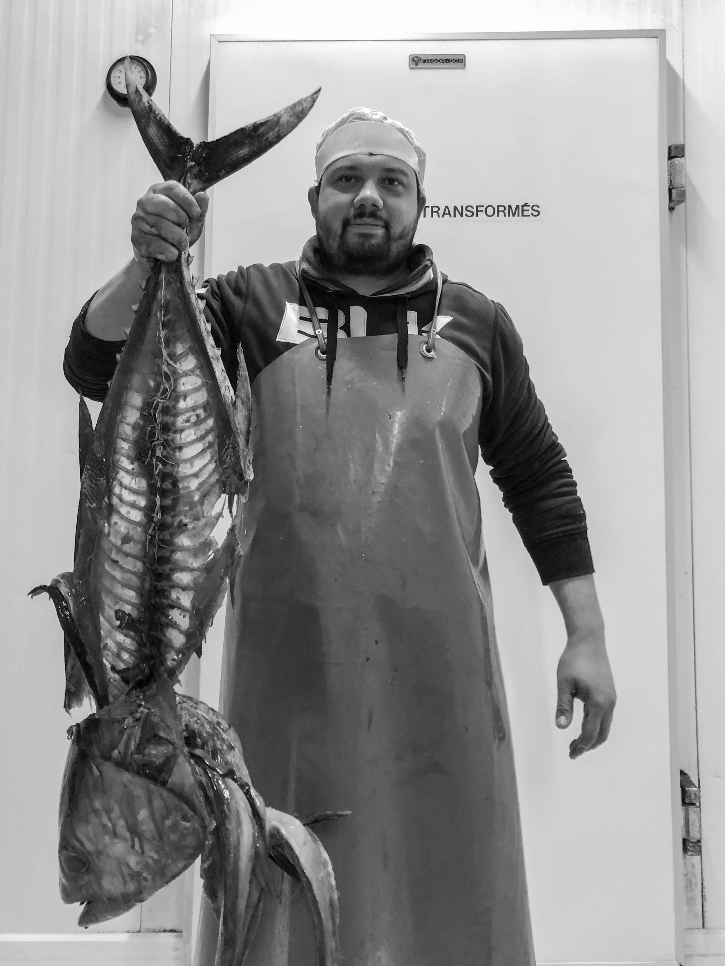 Cyanotype-Poissonnerie-Lycee (13 sur 18).jpg