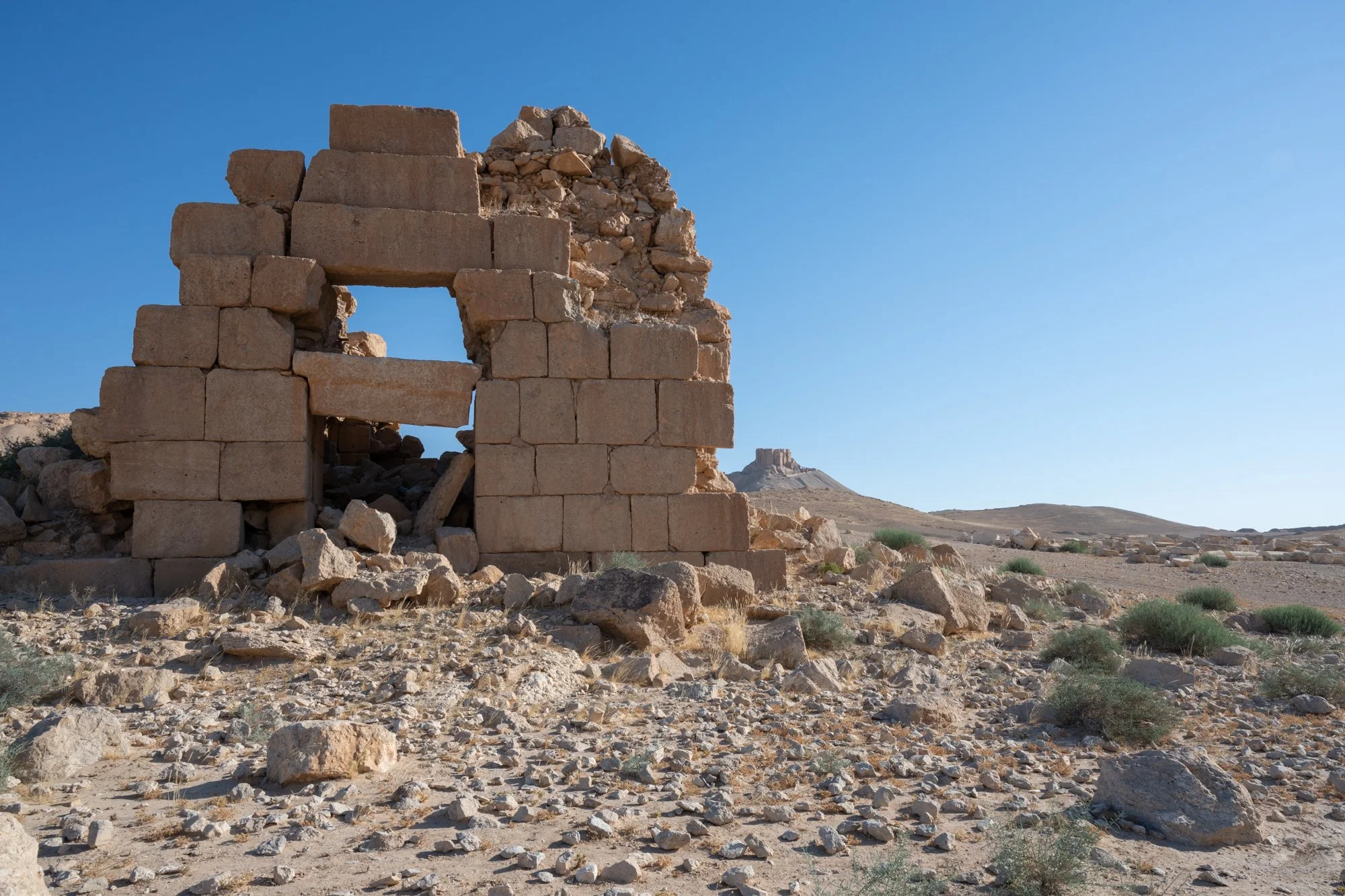 Palmyre_Syrie_Juin2026 - Site (20 sur 30).jpg