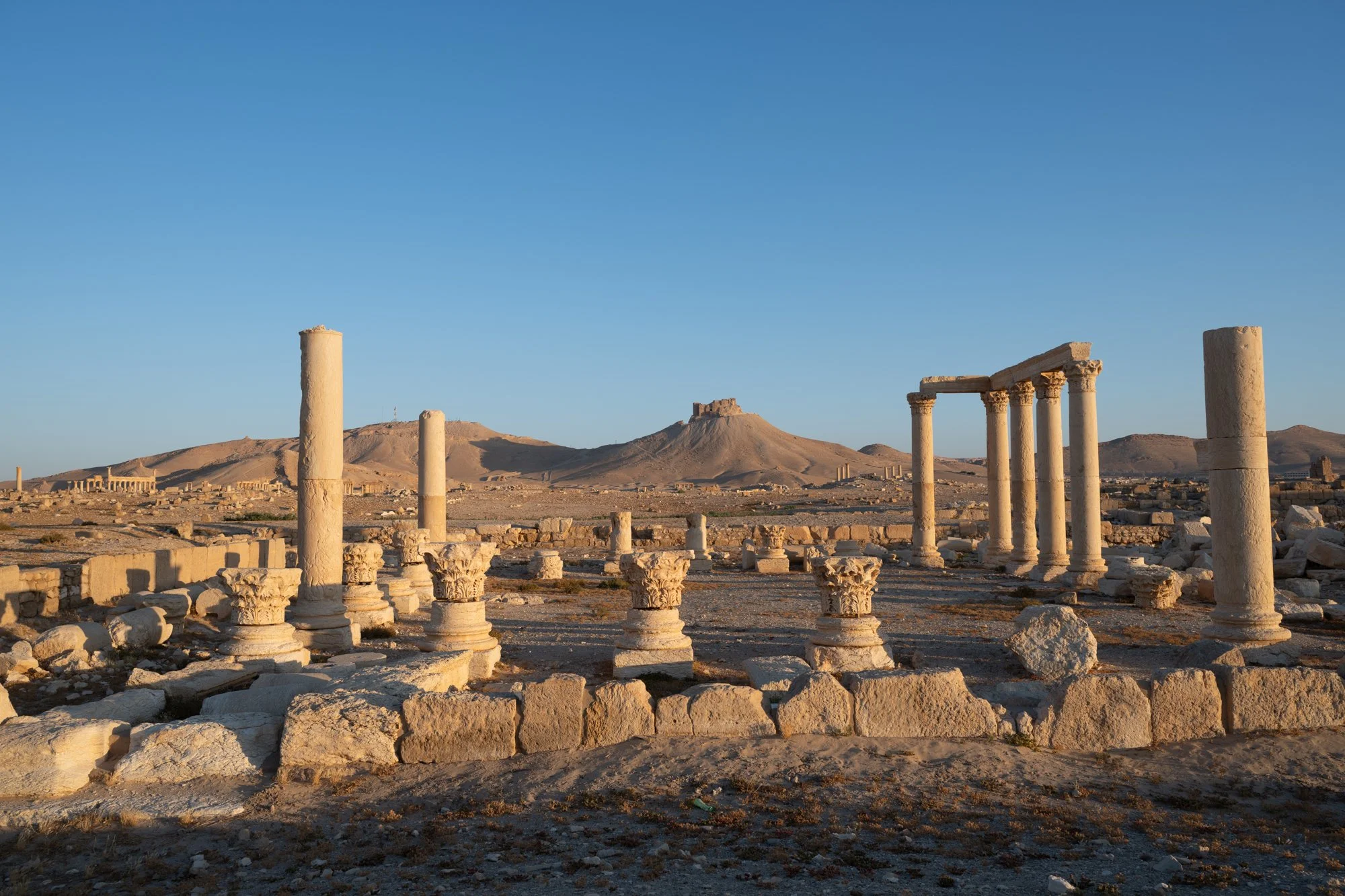 Palmyre_Syrie_Juin2026 - Site (8 sur 30).jpg