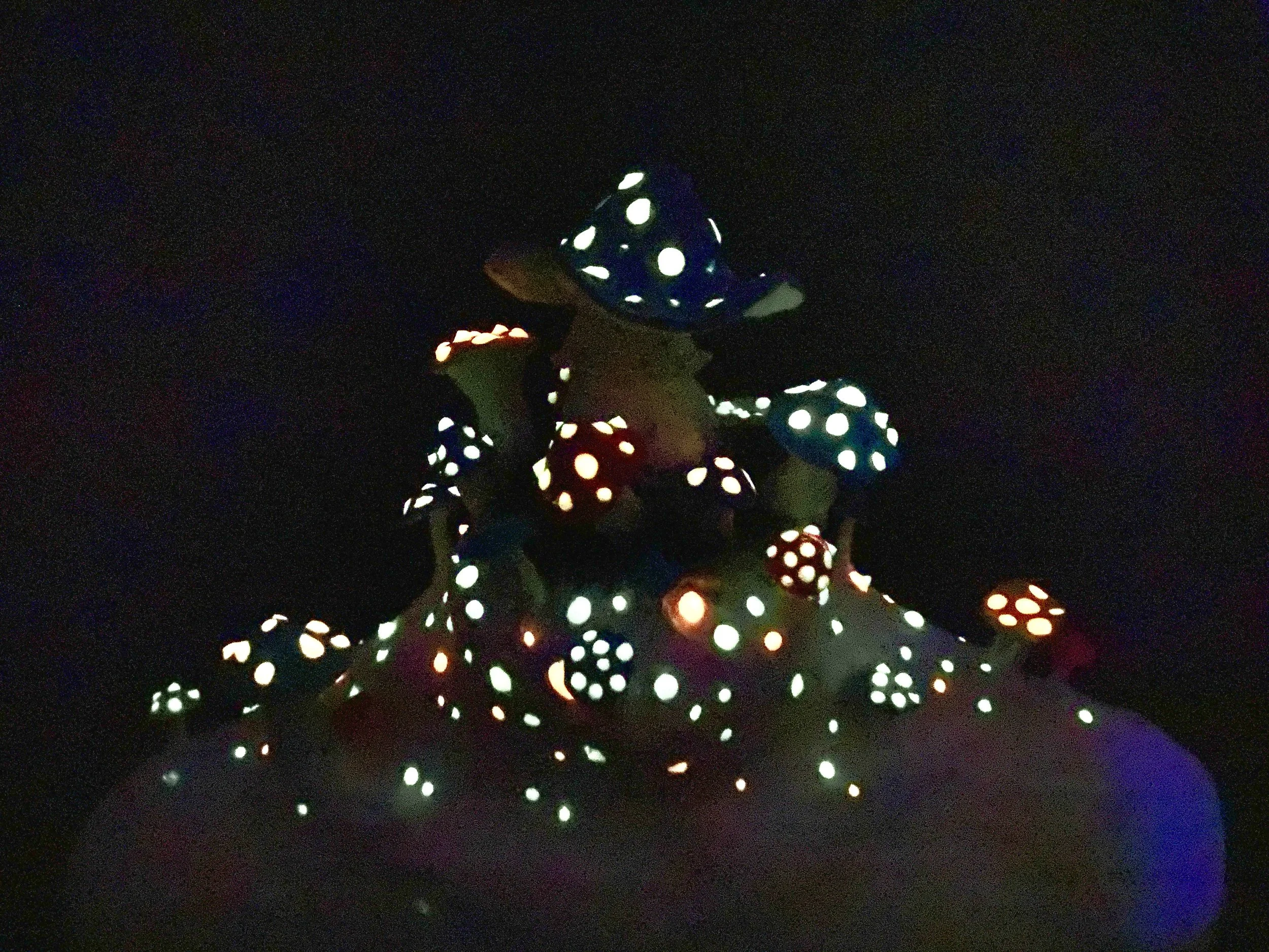 IMG_6409.jpg