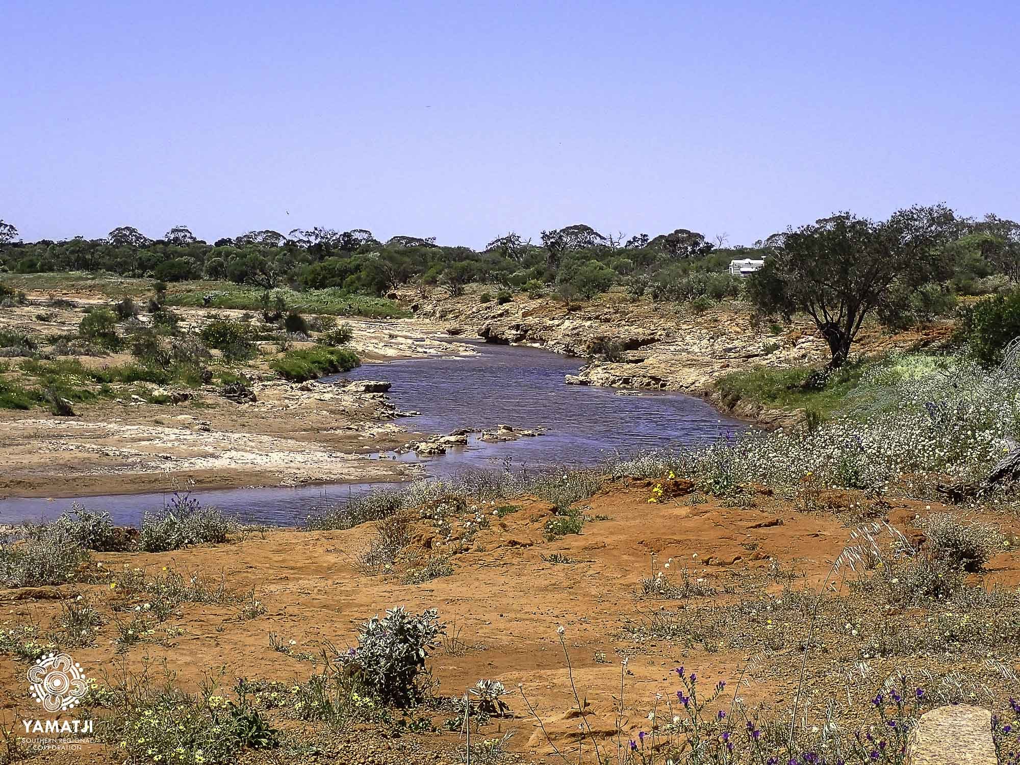Newsletter : January - February 2025 — Yamatji Southern Regional ...