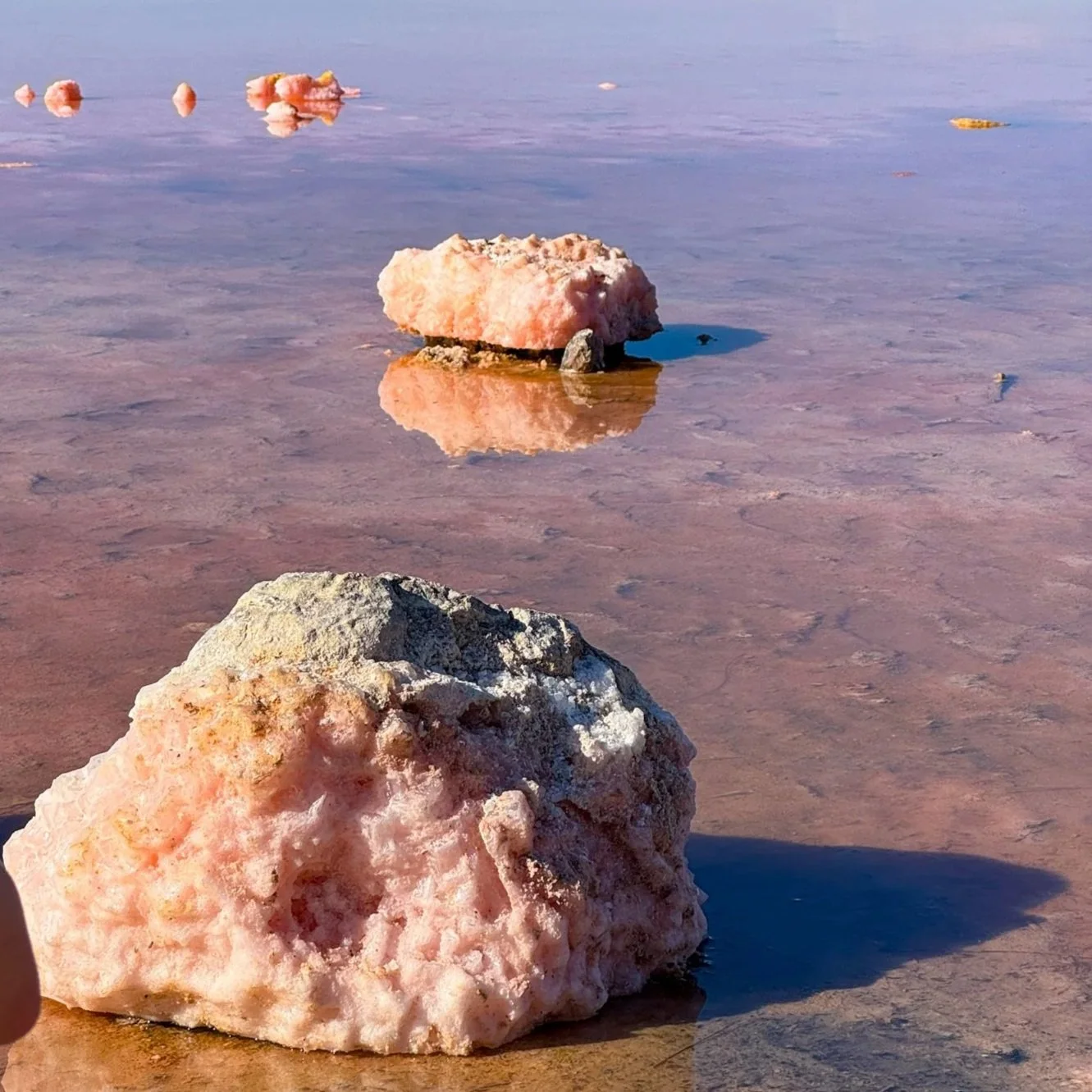 Pink+Lake+5.jpg
