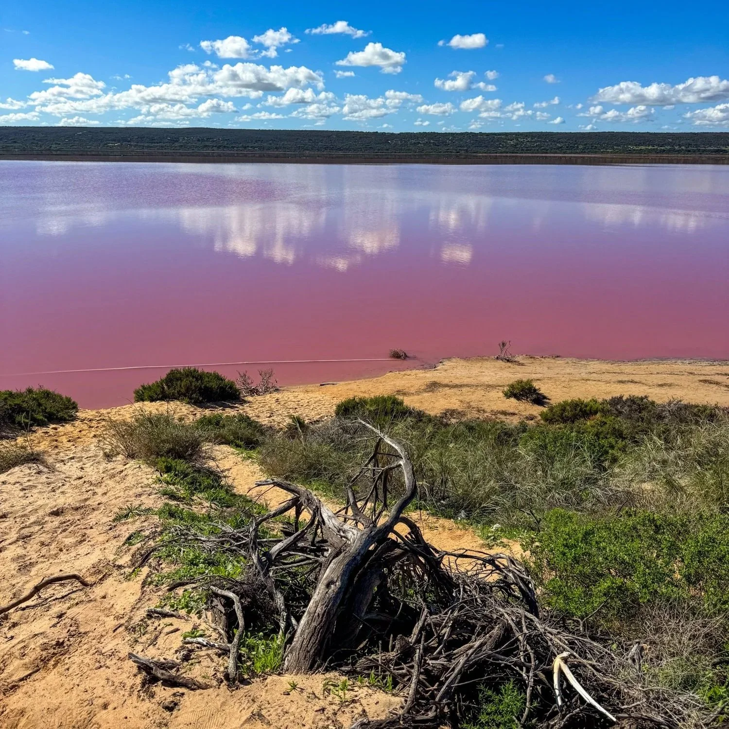 Pink+Lake+1.jpg
