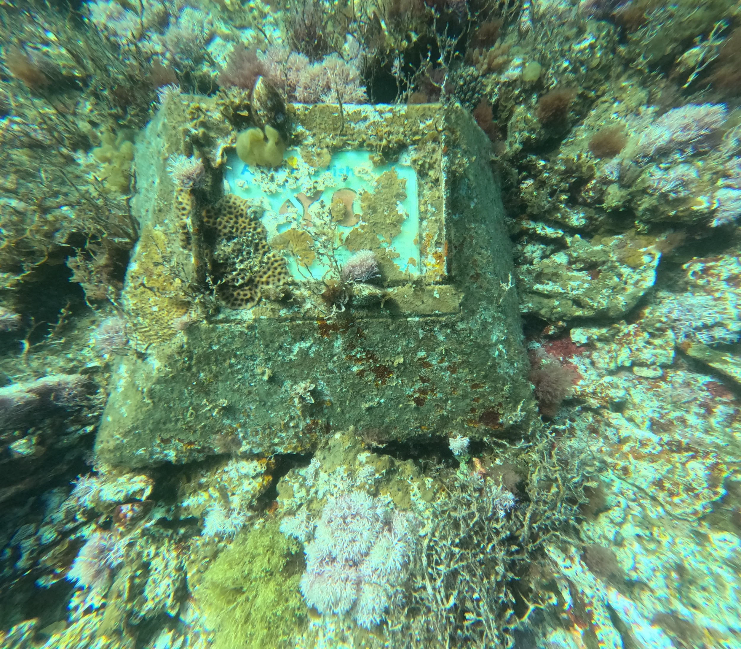 251126 Dive Trail Marker.JPG