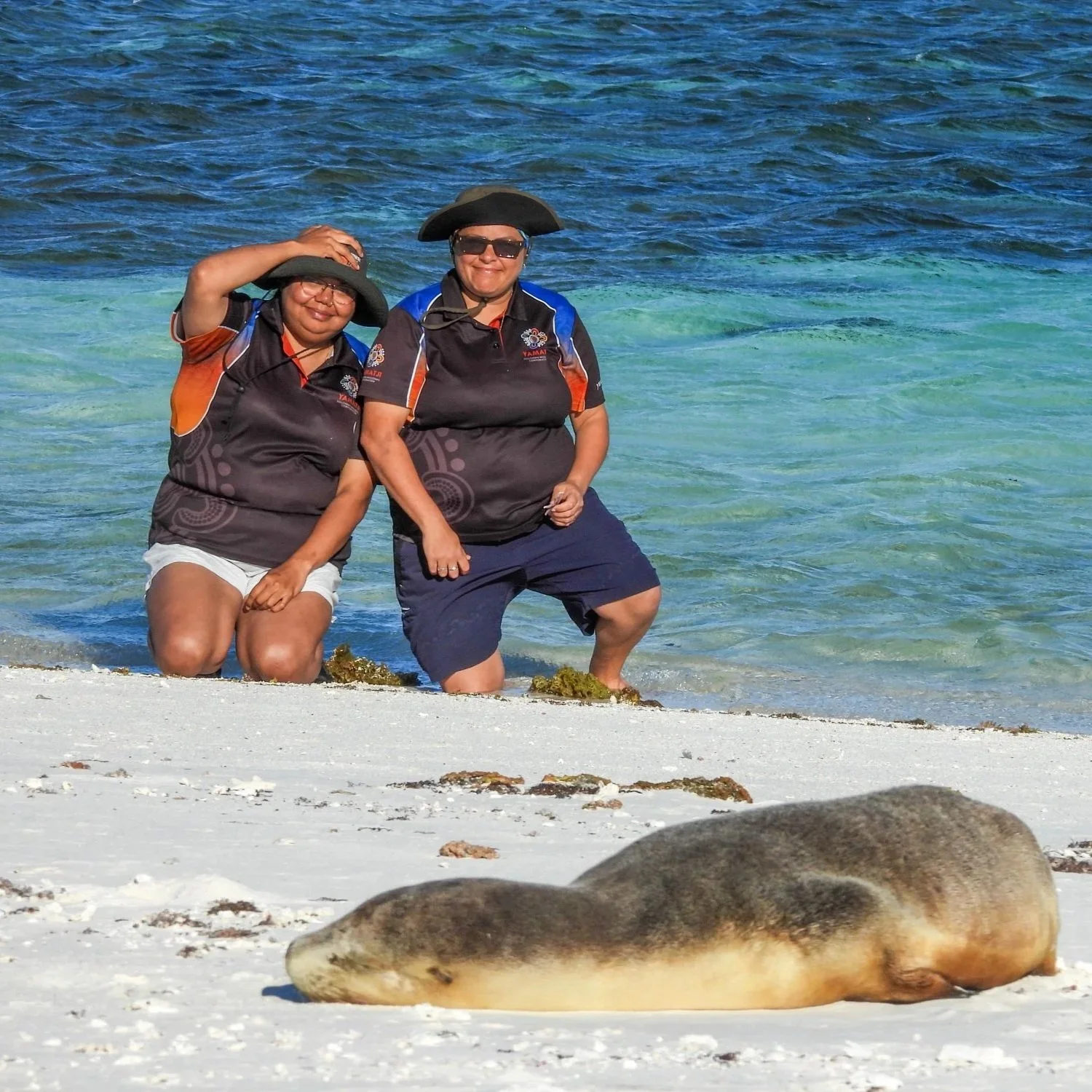 251126+Sea+Lion+and+Rangers+White+Bank-2.jpg