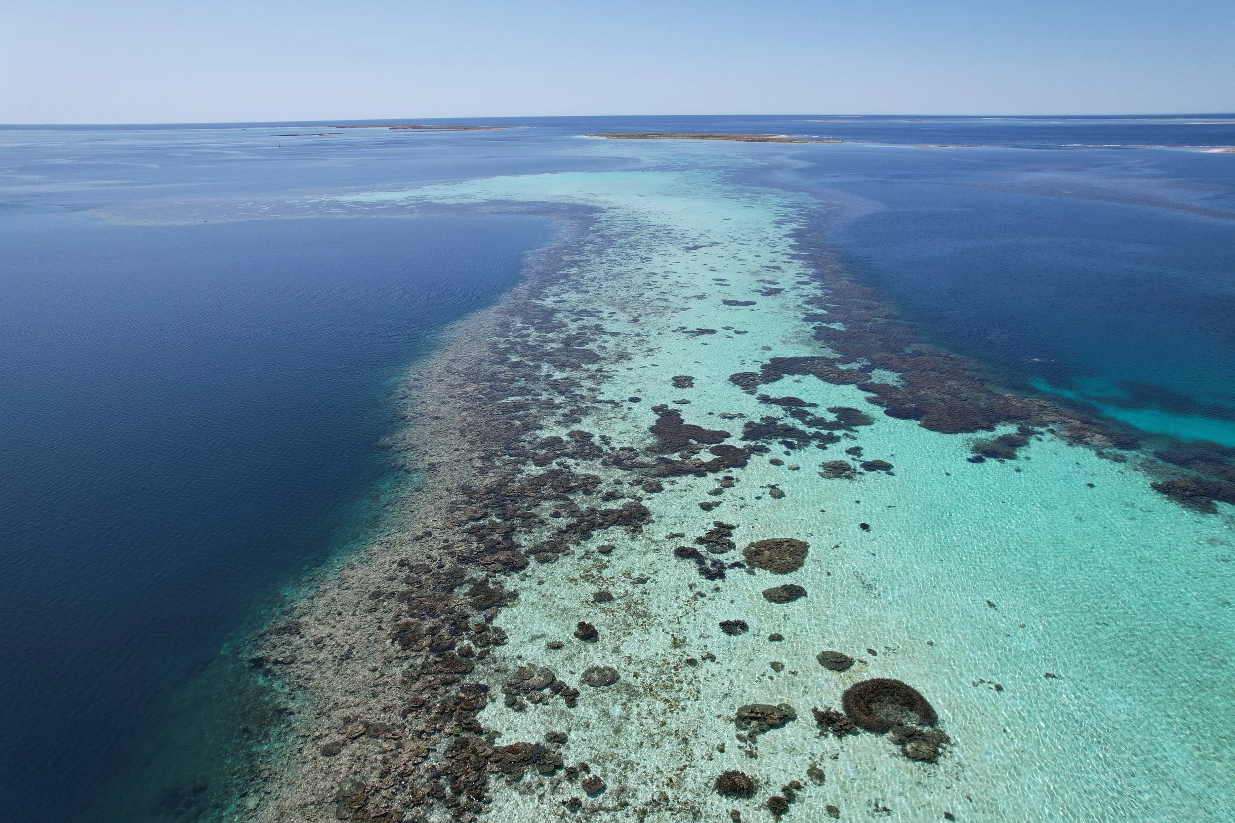 DJI_0024.JPG