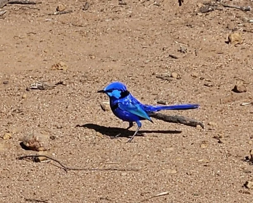 20260515_113717.jpg