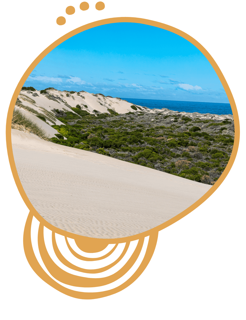 Sand dunes with green shrubbery and the ocean in the background under a partly cloudy blue sky