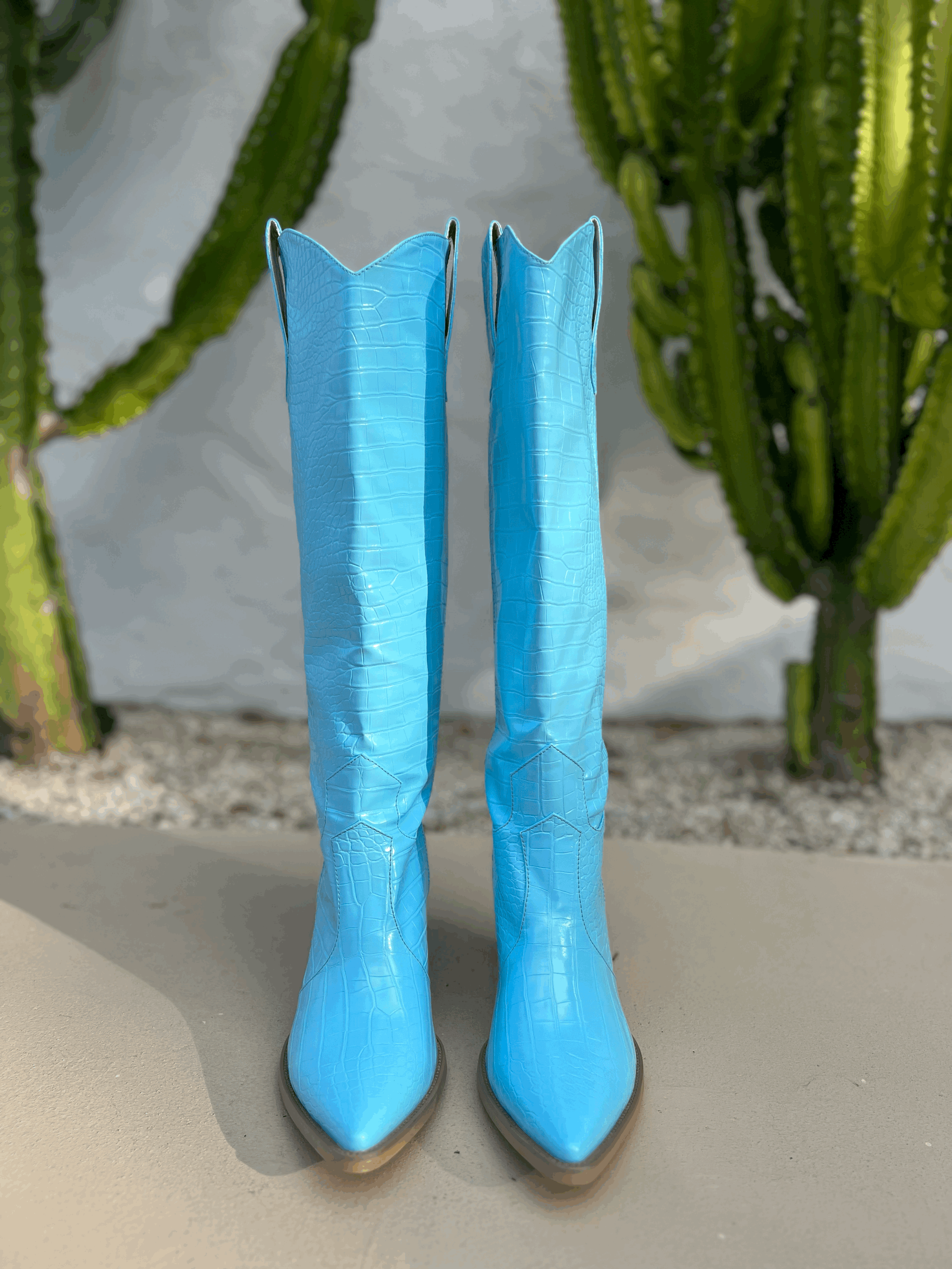tempImagexDpEWV.gif