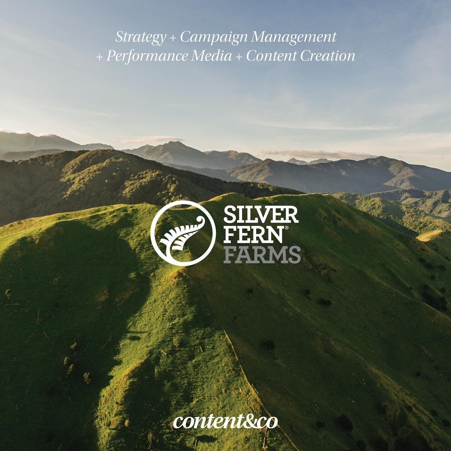 We're thrilled to share the 🌟glowing words from our long-standing client @silverfernfarms.

&quot;The content&amp;co team have worked with us for many years running our monthly social campaigns for the New Zealand market. They are such a great team 