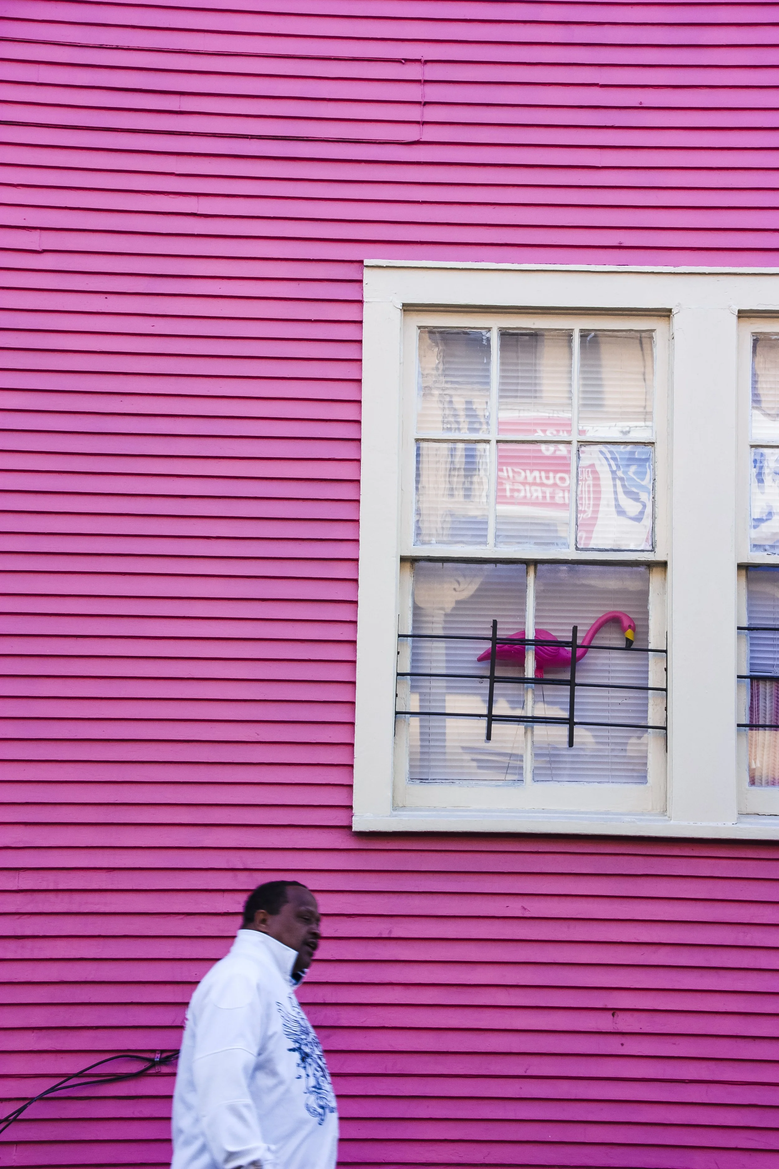 A Saxo In The Bayou (4).jpg