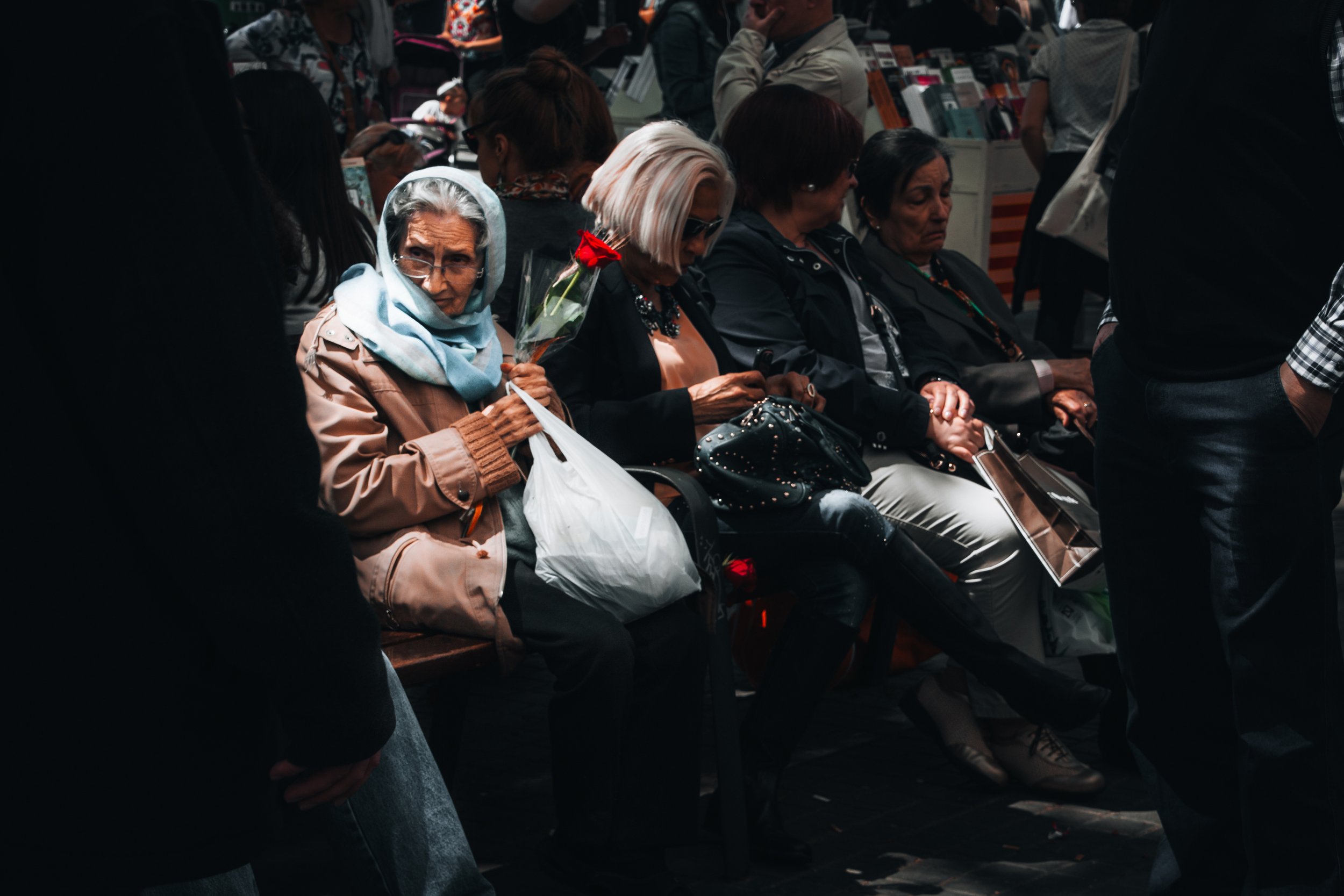 sant jordi bcn oscuro (6 de 6) copia.jpg