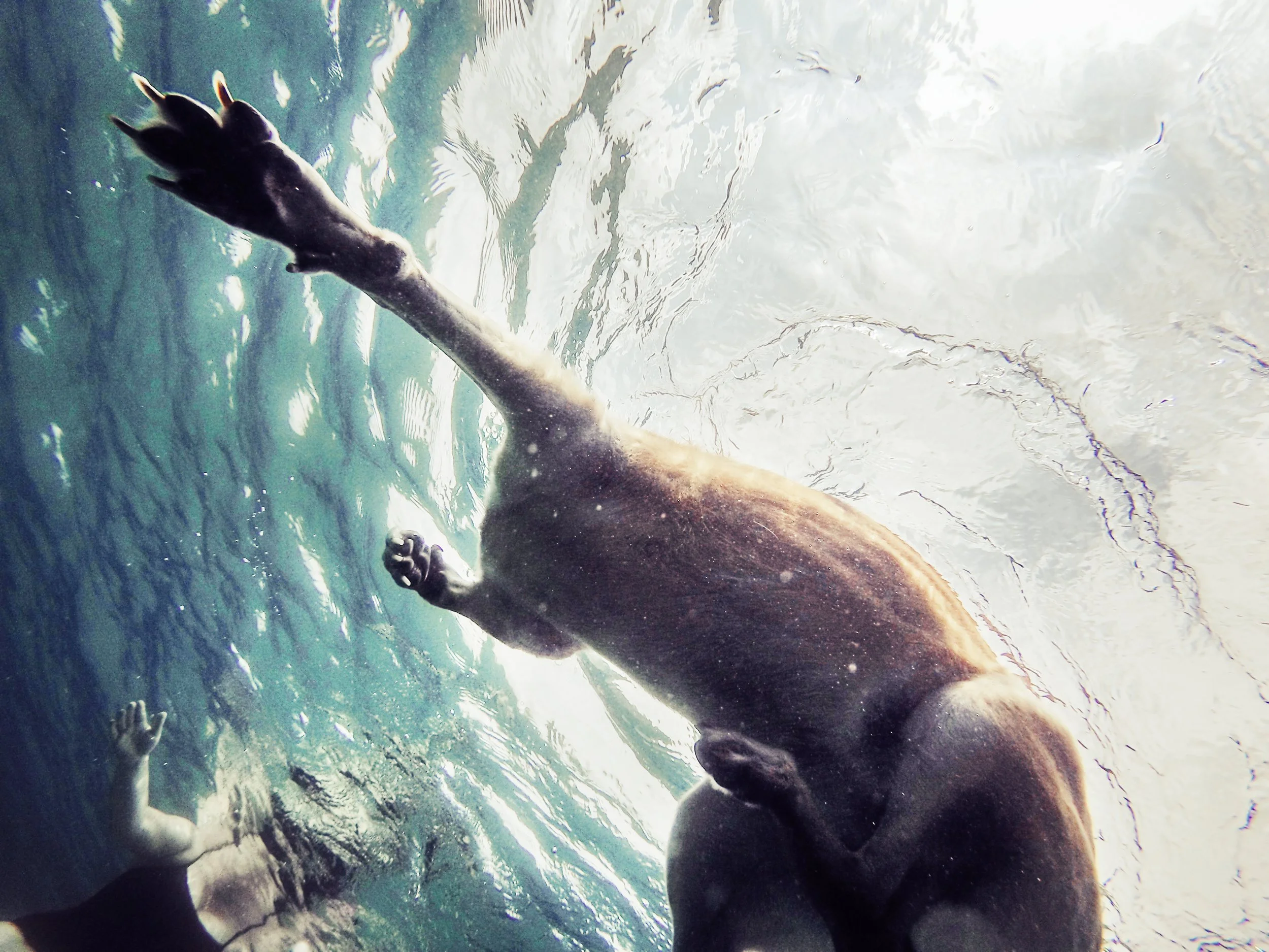 30.07 Cadaqués Under-4 copia.jpg