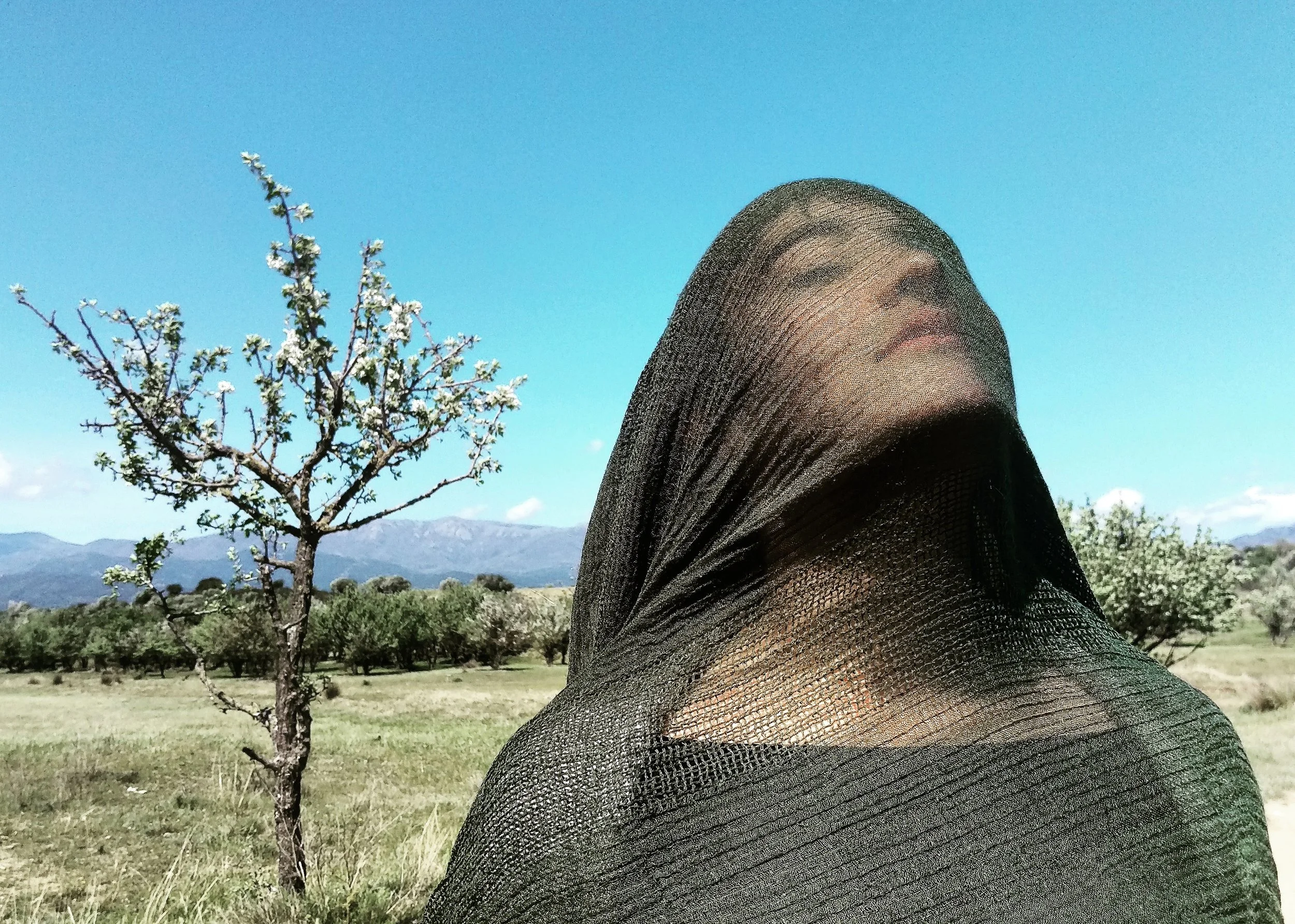 IMG_20160410_172851 copia.jpg