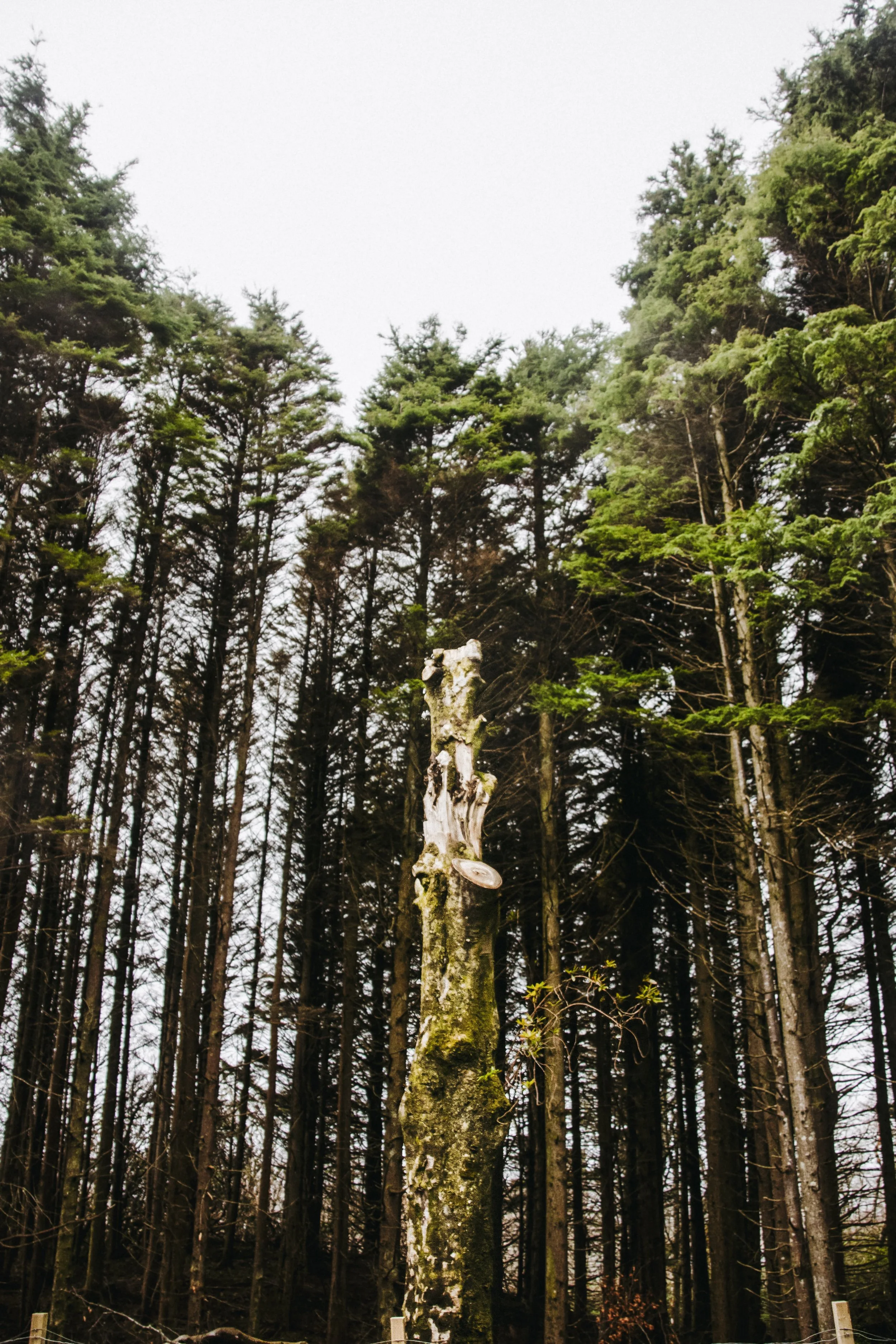 Escocia Luc Besson-29.jpg