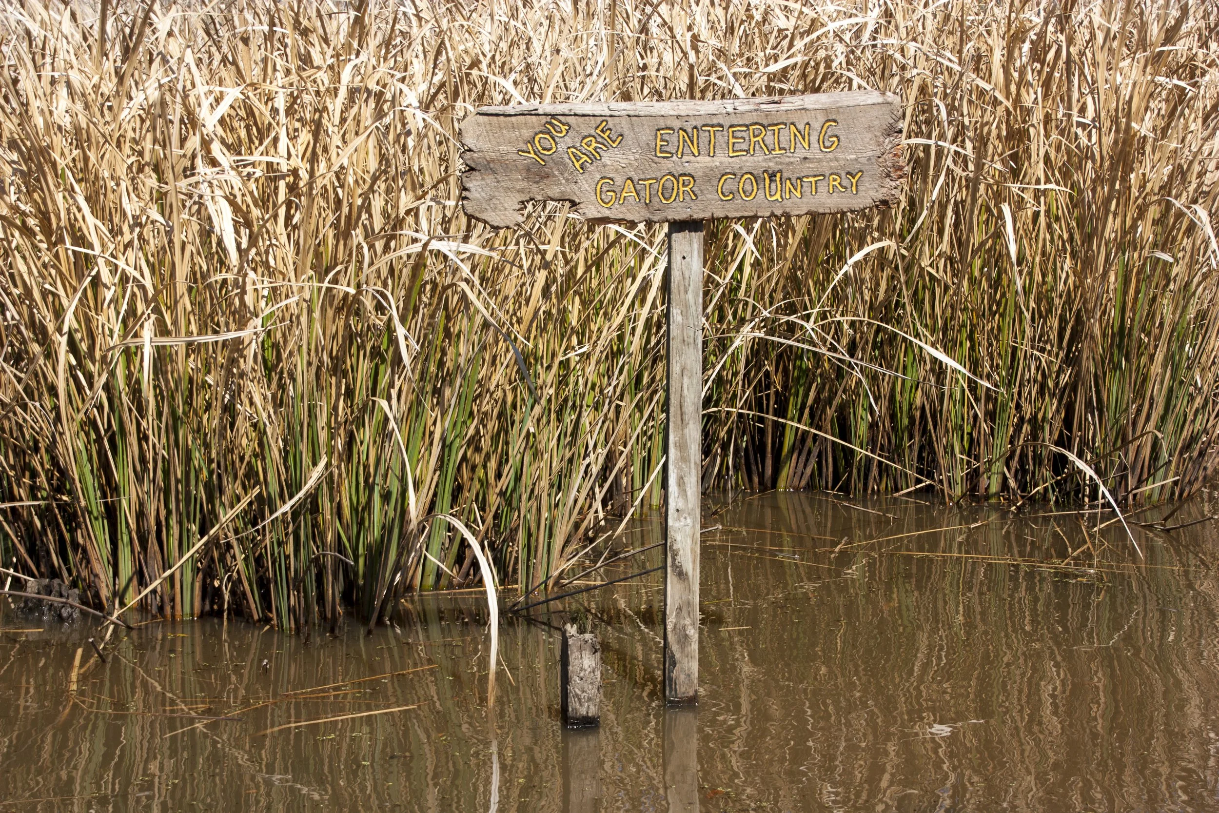 NEW ORLEANS_Saskia Claud (13).jpg