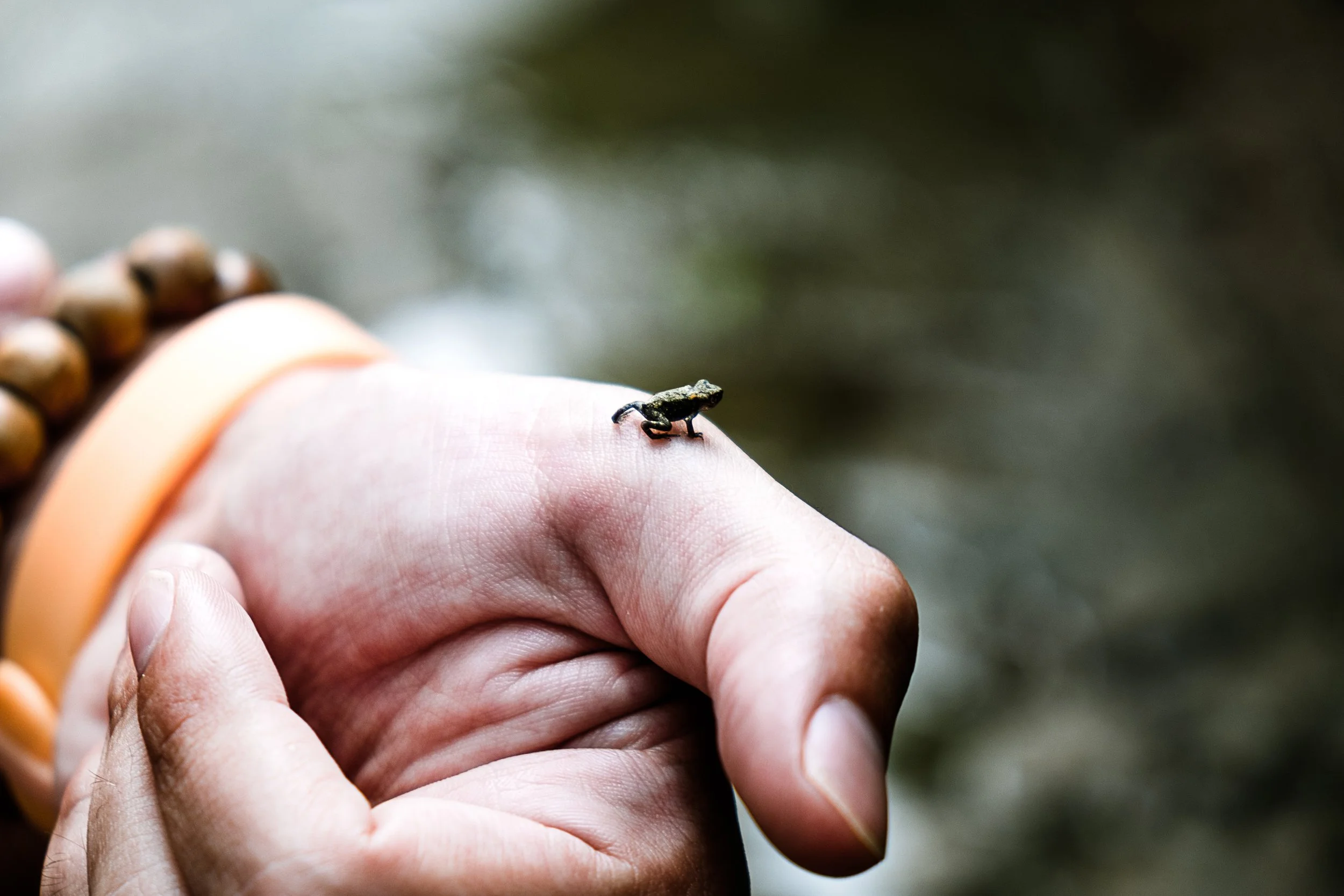 tlhailandia_Saskia Claud (43).jpg