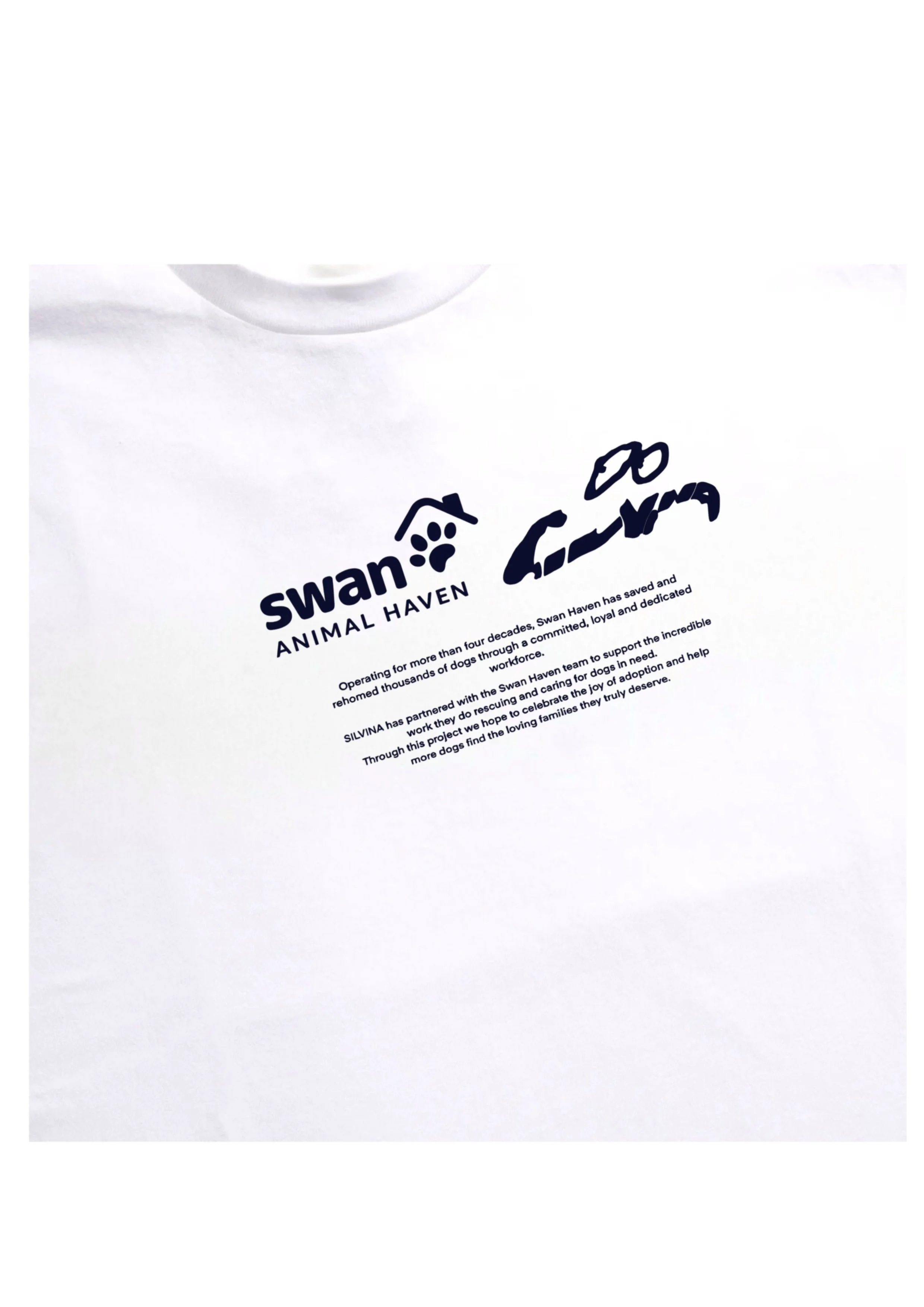 Untitled_Artwork (4).JPG