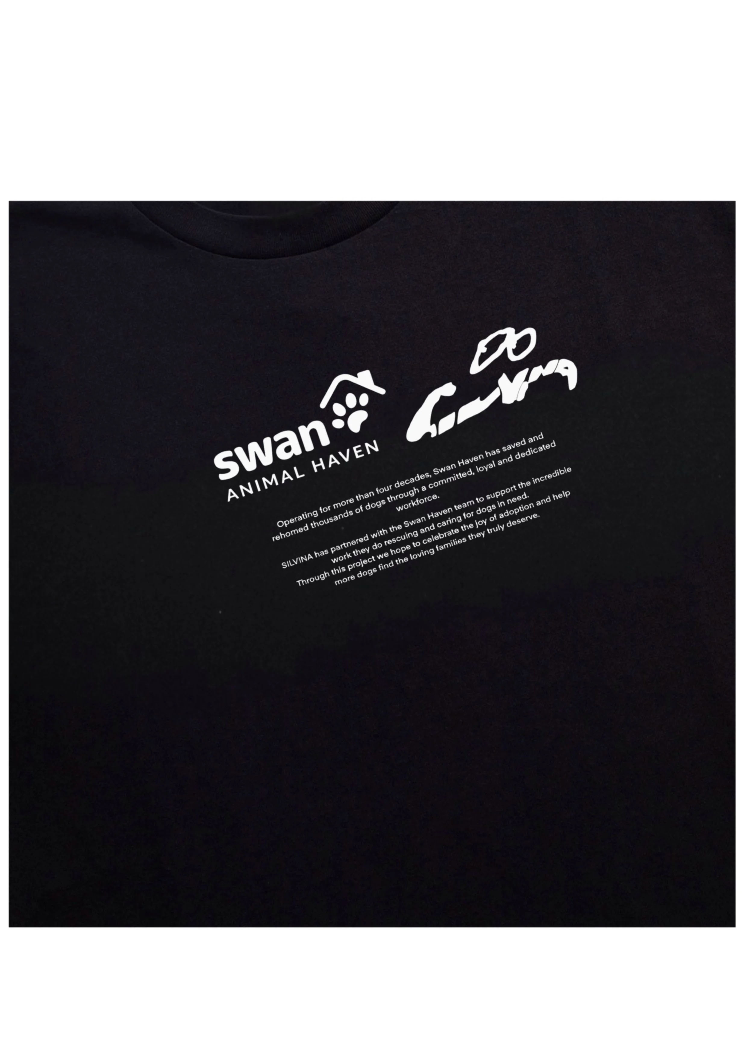 Untitled_Artwork (3).JPG