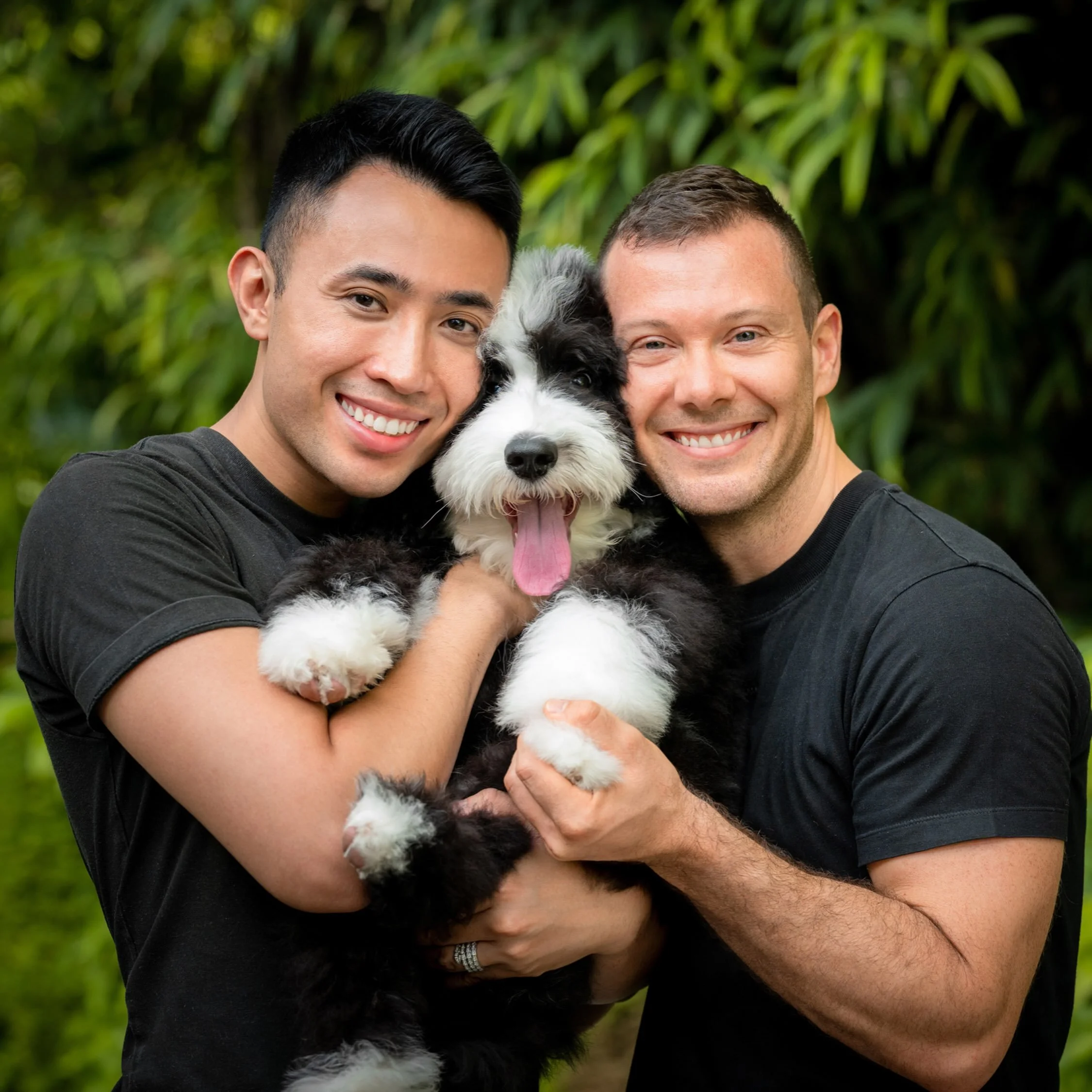 Our little family! ❤️❤️❤️

📸 @whiteroomstudio 

#sheepadoodle #puppy #puppylove #instadog #instapuppy