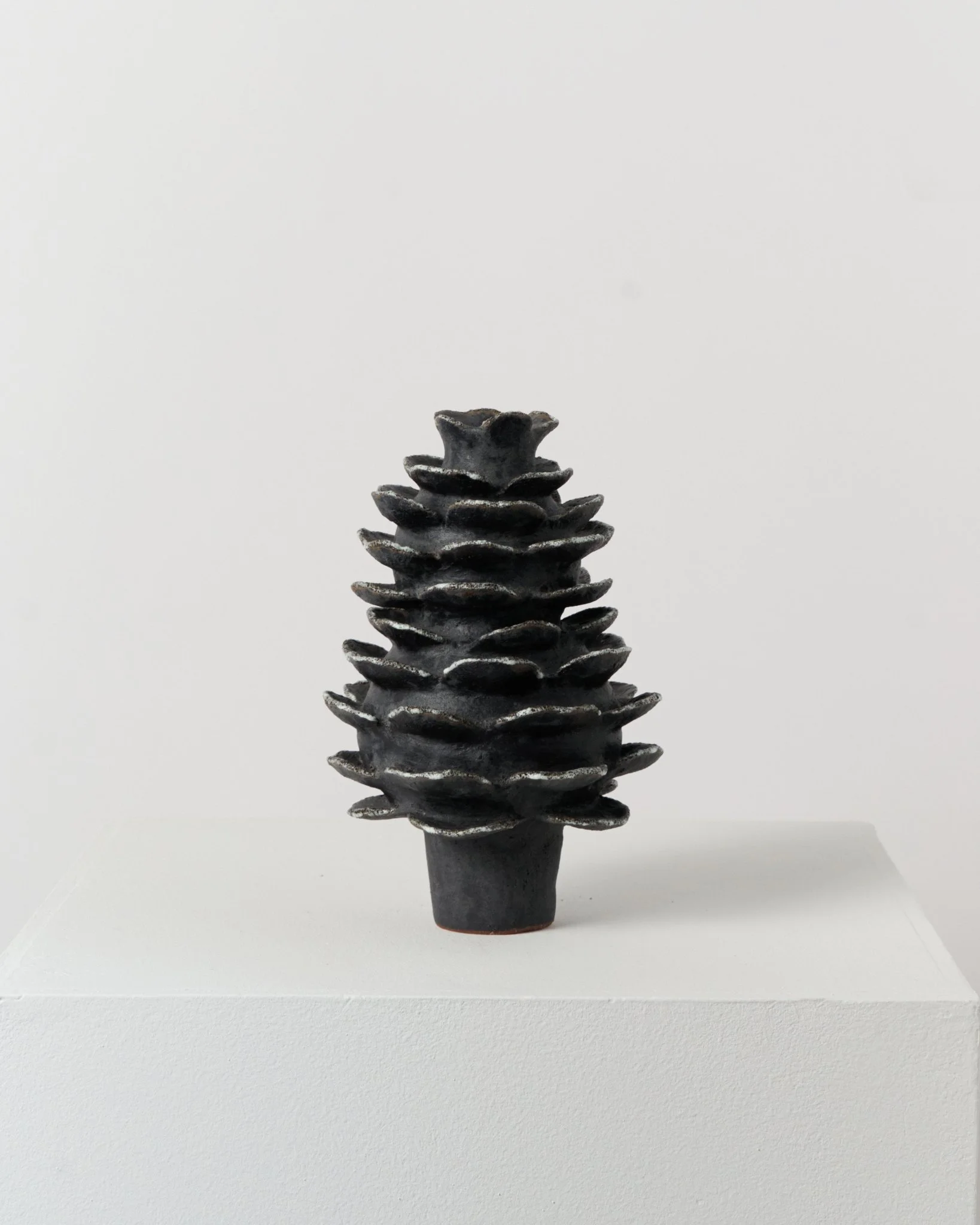 Sessione senza titolo4551.jpg