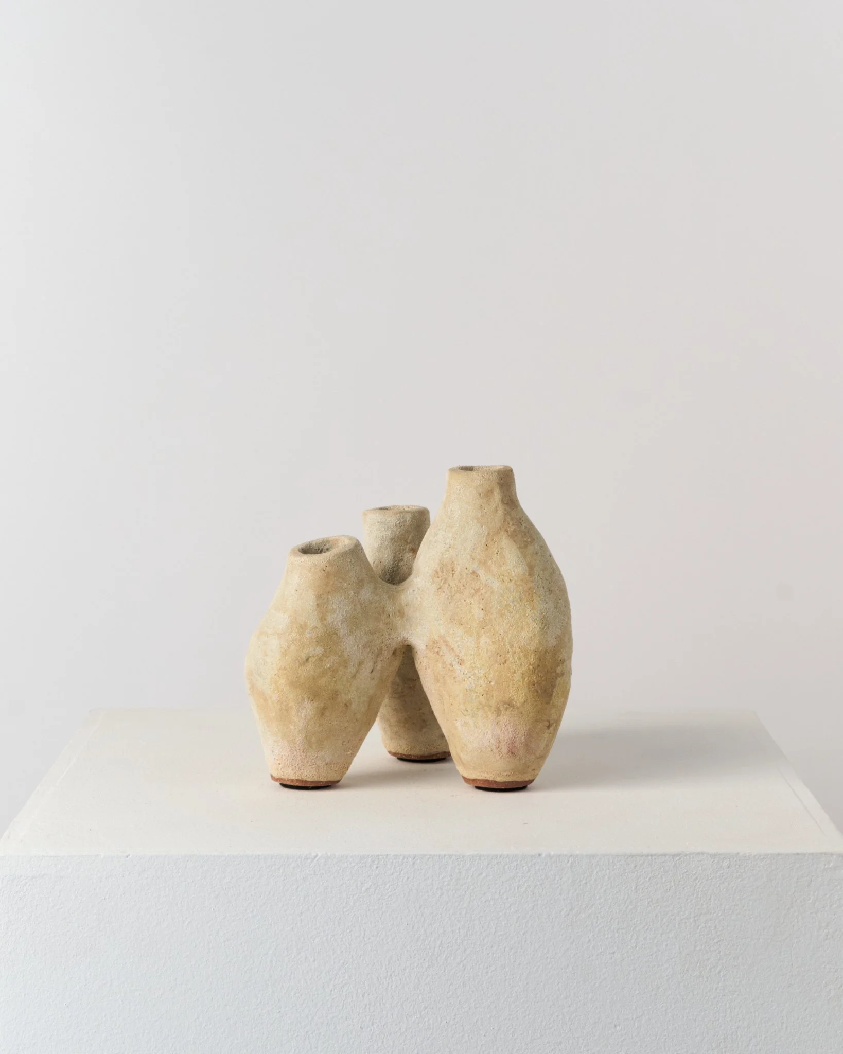 Sessione 05_26 Gennaio 260042.jpg